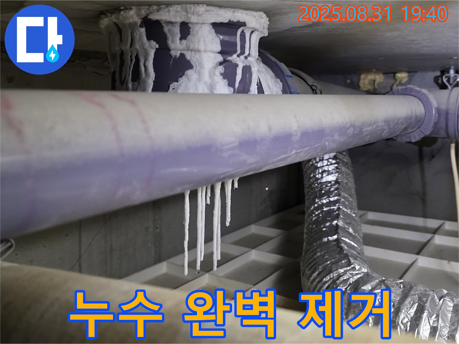 분당구 산운로 누수 - 석회수, 곰팡이, 악취 완벽 제거 - 쾌적한 환경 보장