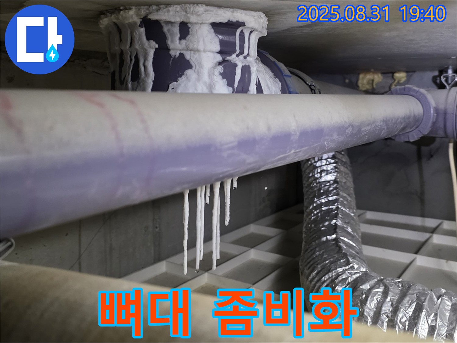 분당구 산운리 결로 누수 - 건물 뼈대를 좀비처럼 만드는 석회수 누수 - 긴급 소독 작전이 필요합니다