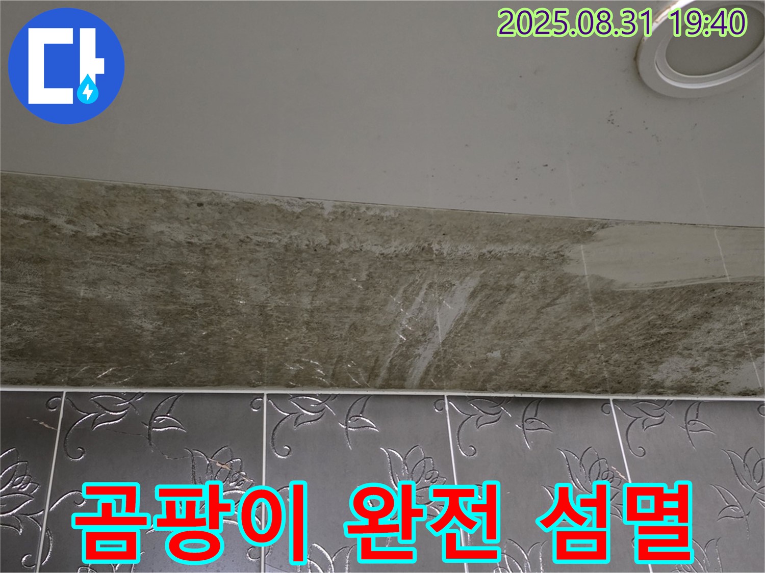 분당구 정자동 욕실 천장 누수 - 곰팡이 완전 섬멸 및 누수 해결로 청결한 욕실 완성!
