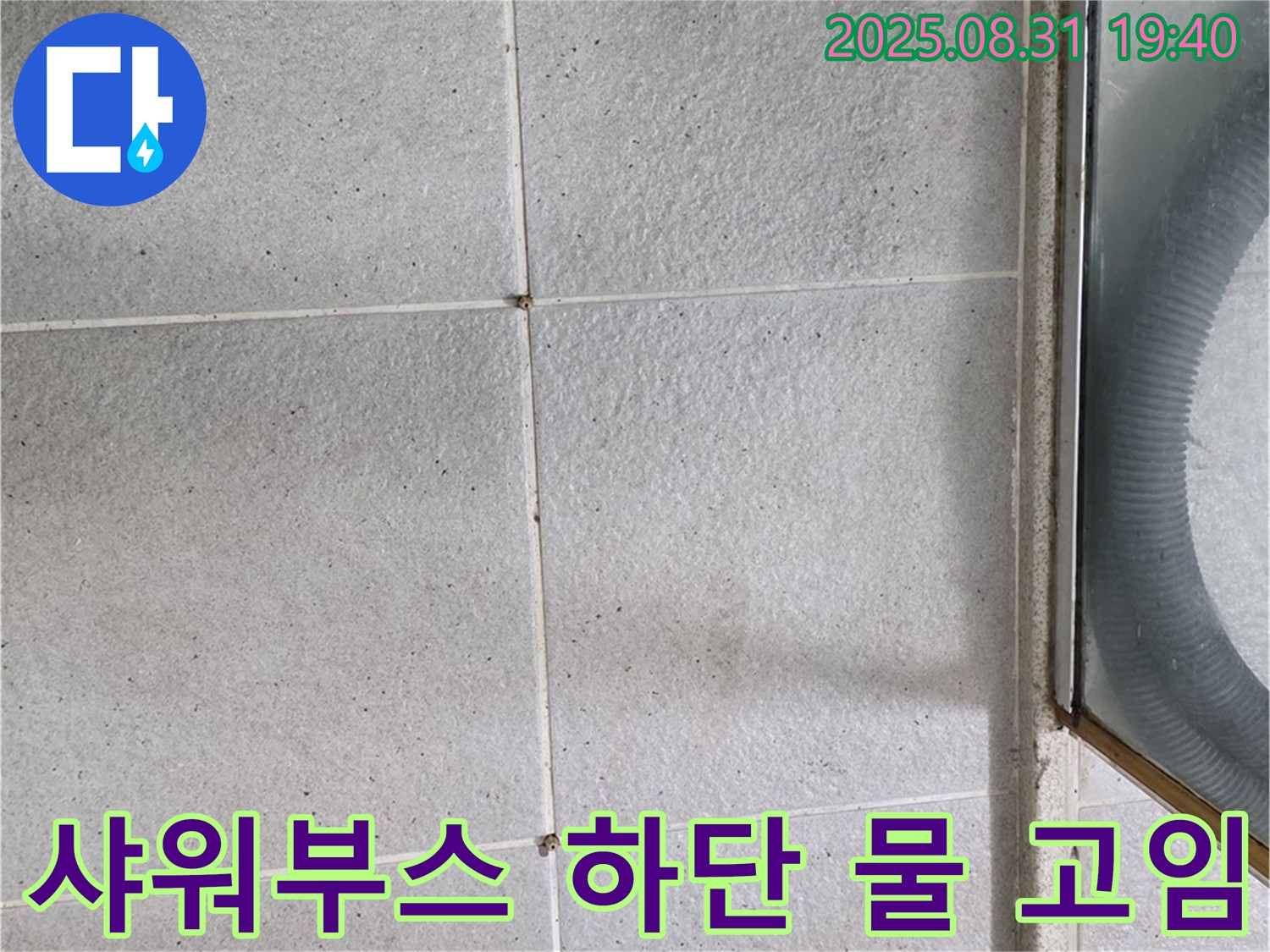 샤워부스 하단 물 고임 - 타일 누수 의심, 전문가에게 문의하세요!