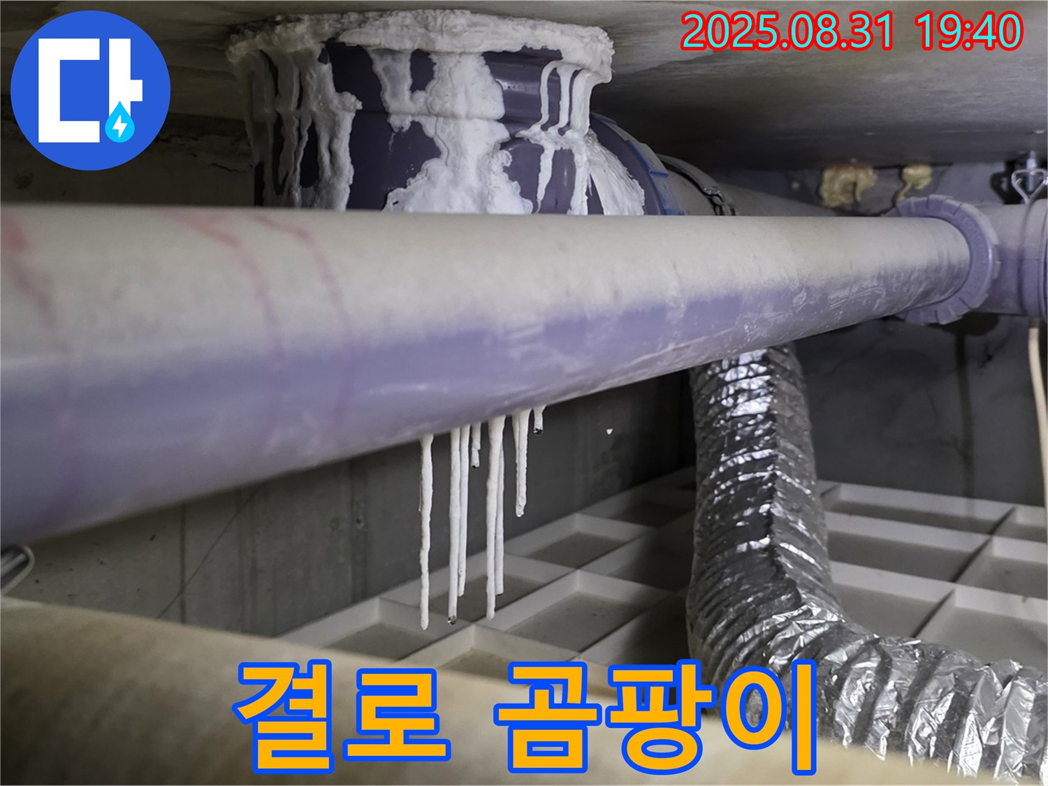 정자동 누수 - 배관 결로로 인한 곰팡이 번식 - 건강한 실내 환경을 위한 누수 해결