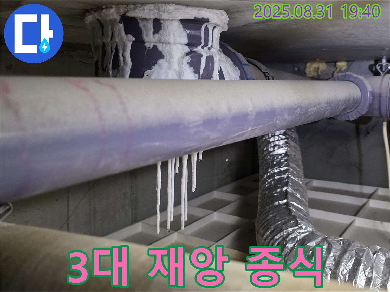 정자동 누수 - 석회수, 곰팡이, 악취 3대 재앙 종식 - 쾌적한 환경으로