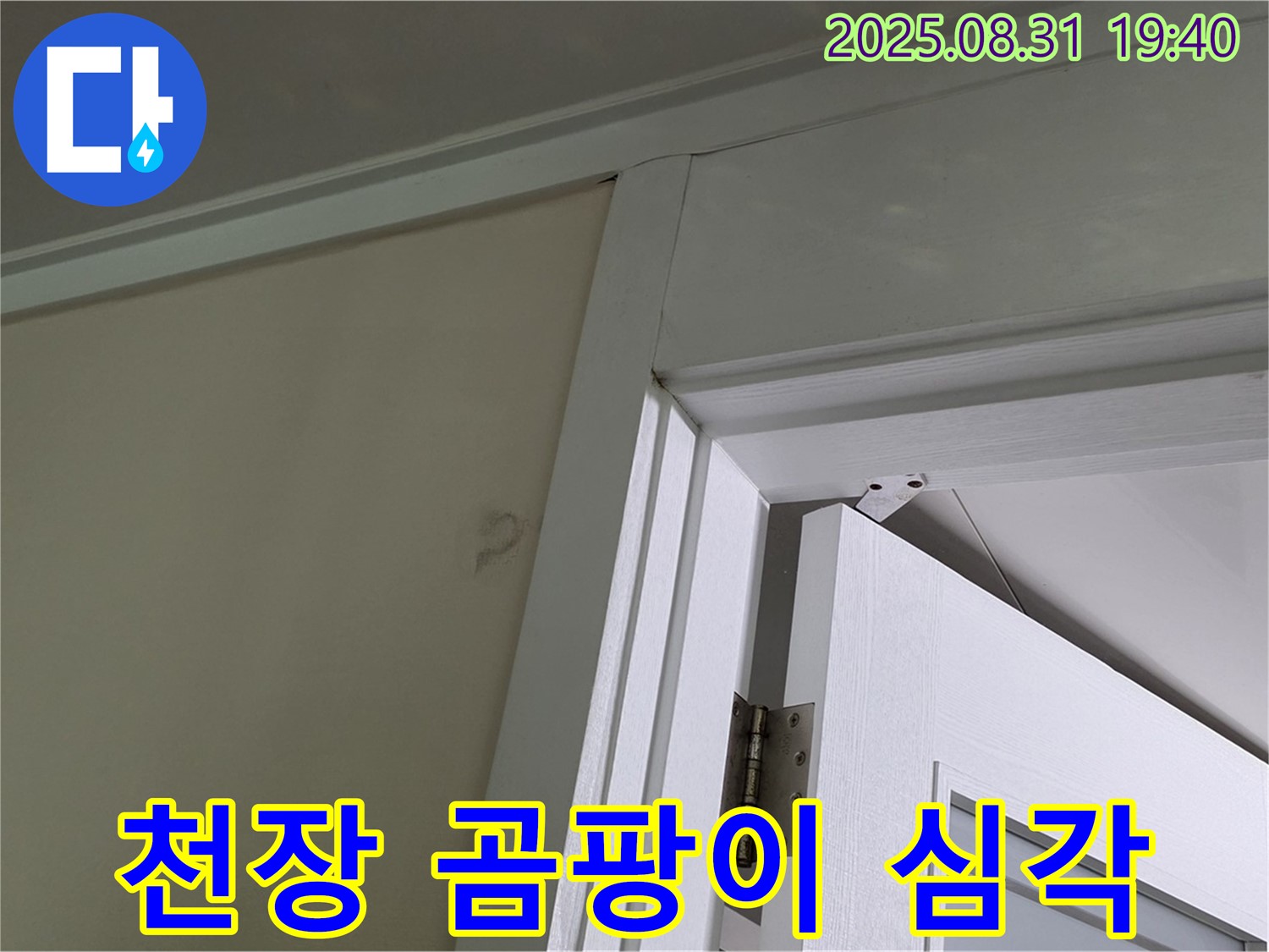 천장 곰팡이 심각 - 문 위쪽 천장에 곰팡이가 심각하게 발생한 모습입니다.
