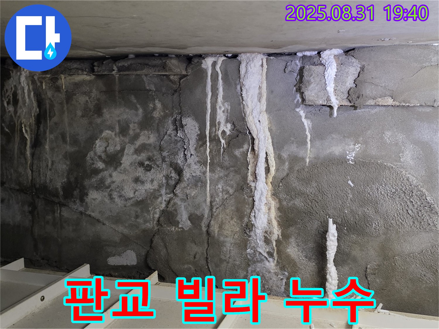 판교 빌라 누수 해결 - 빌라 누수 문제, 전문가의 손길로 확실하게 해결하세요.