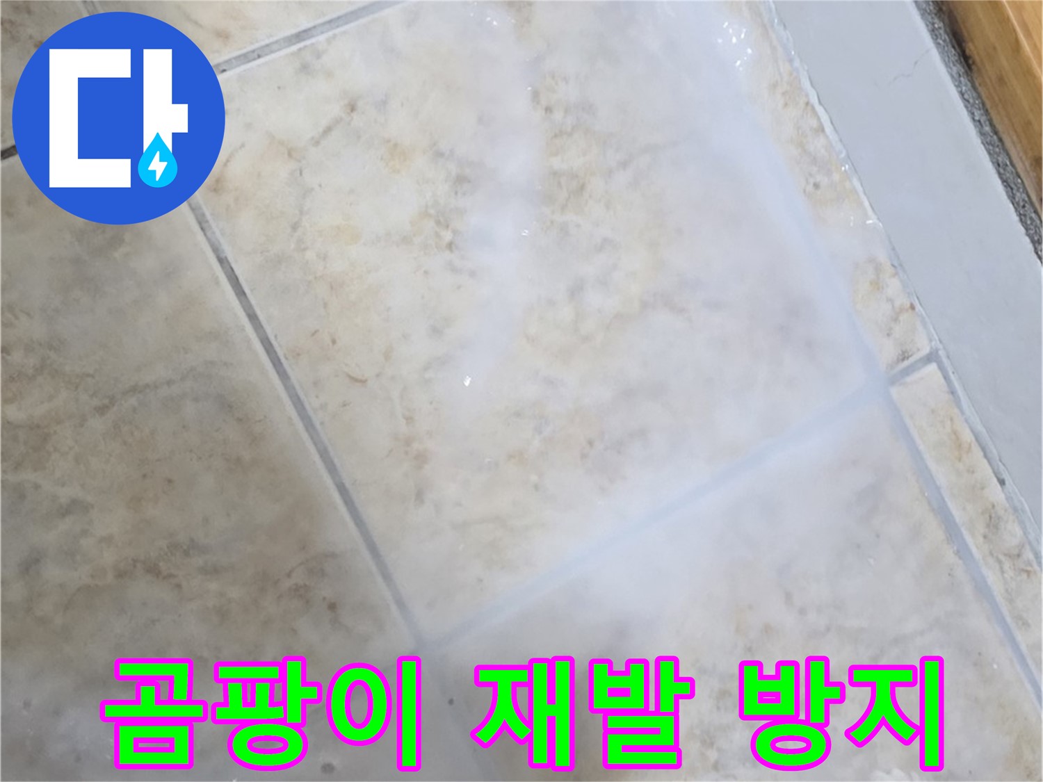 곰팡이 재발 방지 - 특수 코팅 시공으로 - 오랫동안 깨끗하게!