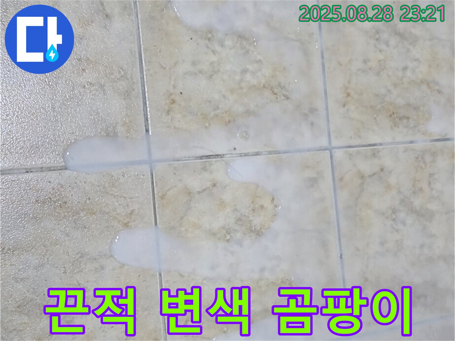 끈적거리고 색 변하고 곰팡이 핀 백시멘트 - 묵동 주택 욕실에서 물이 닿으면 끈적거리고 색깔도 변하고 곰팡이도 피어있는 백시멘트 - 누수와 곰팡이 문제를 동시에 해결해야 합니다.