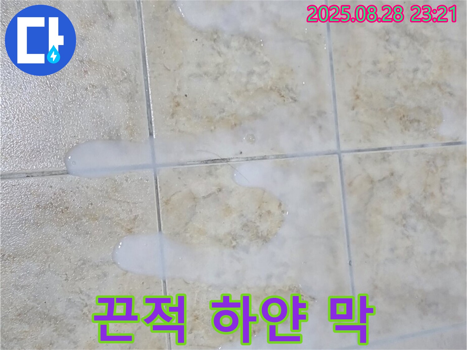 끈적거리고 하얀 막 생기는 백시멘트 - 중랑구 묵동 주택 욕실에서 물이 닿으면 끈적거리고 하얀 막도 생기는 백시멘트 - 복합적인 손상 징후입니다.