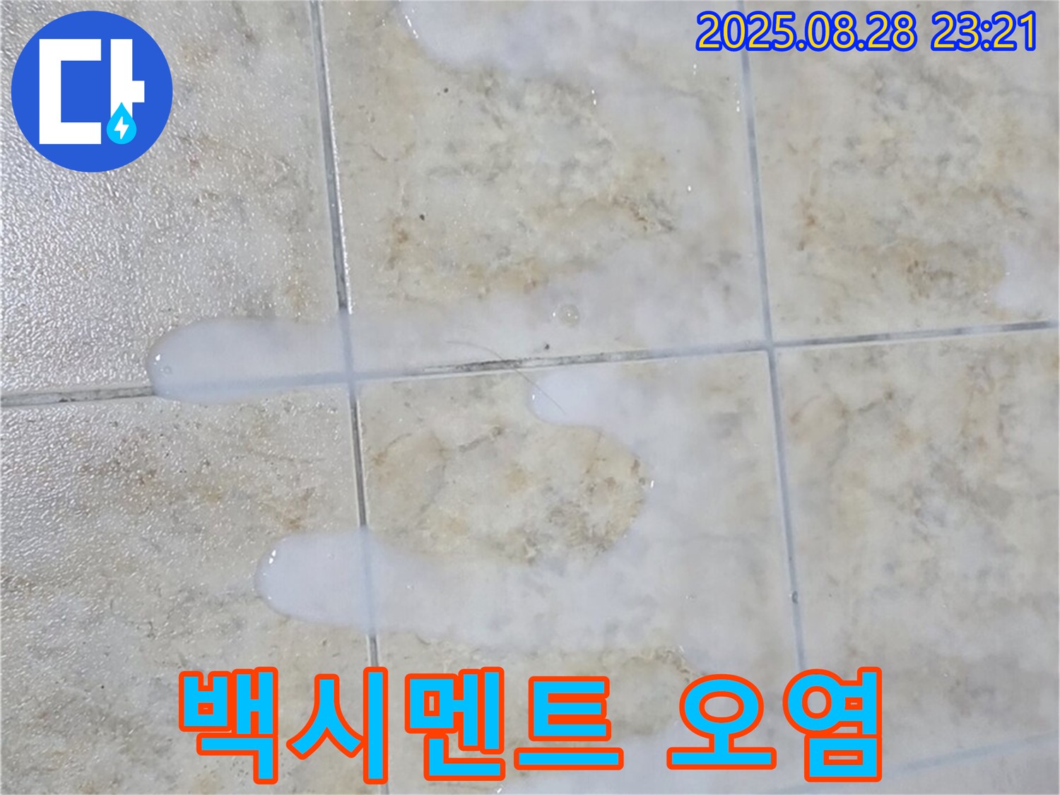 백시멘트 오염 - 중랑구 묵동 아파트 욕실 백시멘트 오염 - 누수와 간접적인 관련이 있을 수 있습니다.