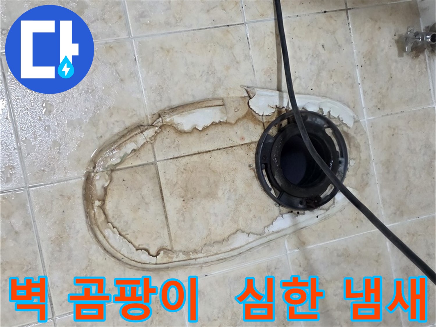 변기 누수 - 변기 뒤쪽 벽 곰팡이, 냄새까지 심해요