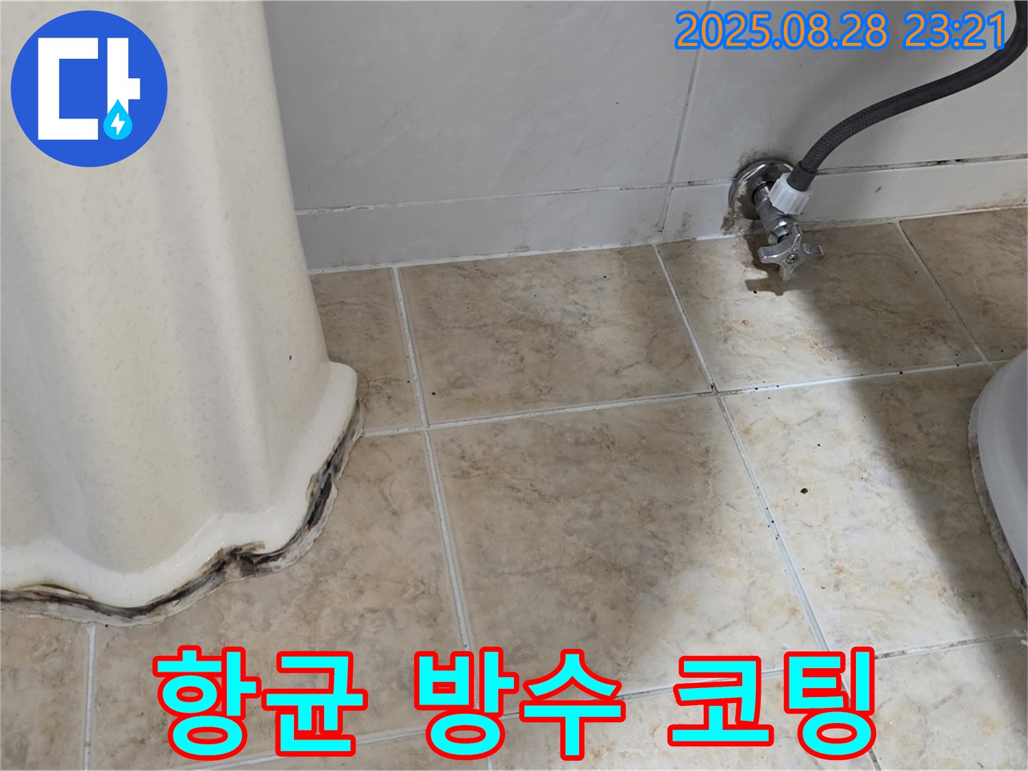 변기 옆 곰팡이 - 곰팡이 제거 후 항균 방수 코팅으로 곰팡이 재발 완벽 차단!