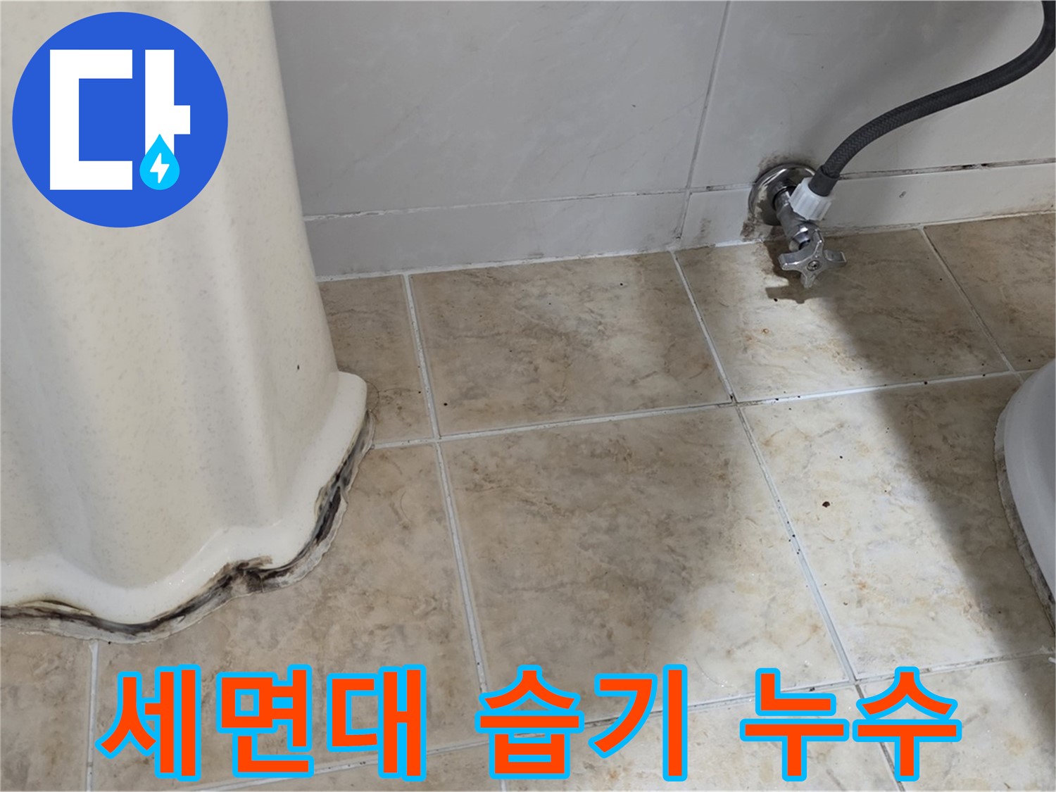세면대 아래 습기 - 곰팡이 번식, 더 이상 지켜볼 수 없어요 - 습기 제거 전문가.