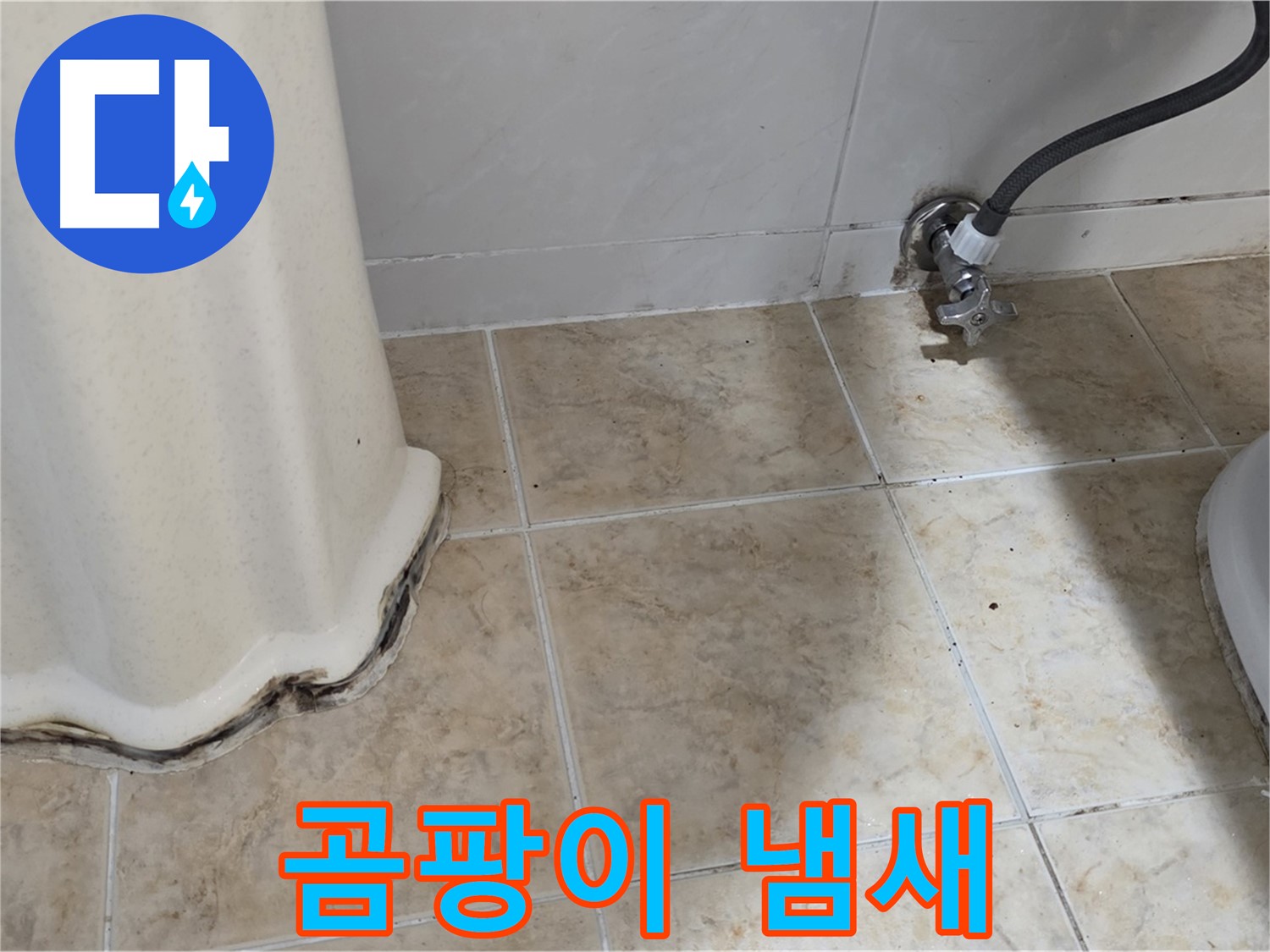 세면대 주변 곰팡이 냄새 - 쾌적한 욕실을 위한 첫걸음 - 냄새 제거 전문가