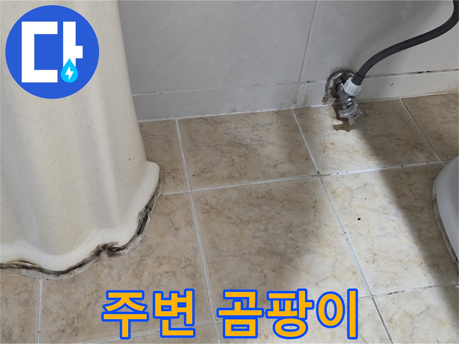 세면대 주변 곰팡이 - 쾌적한 욕실을 위해 없애주세요 - 곰팡이 제거 전문가