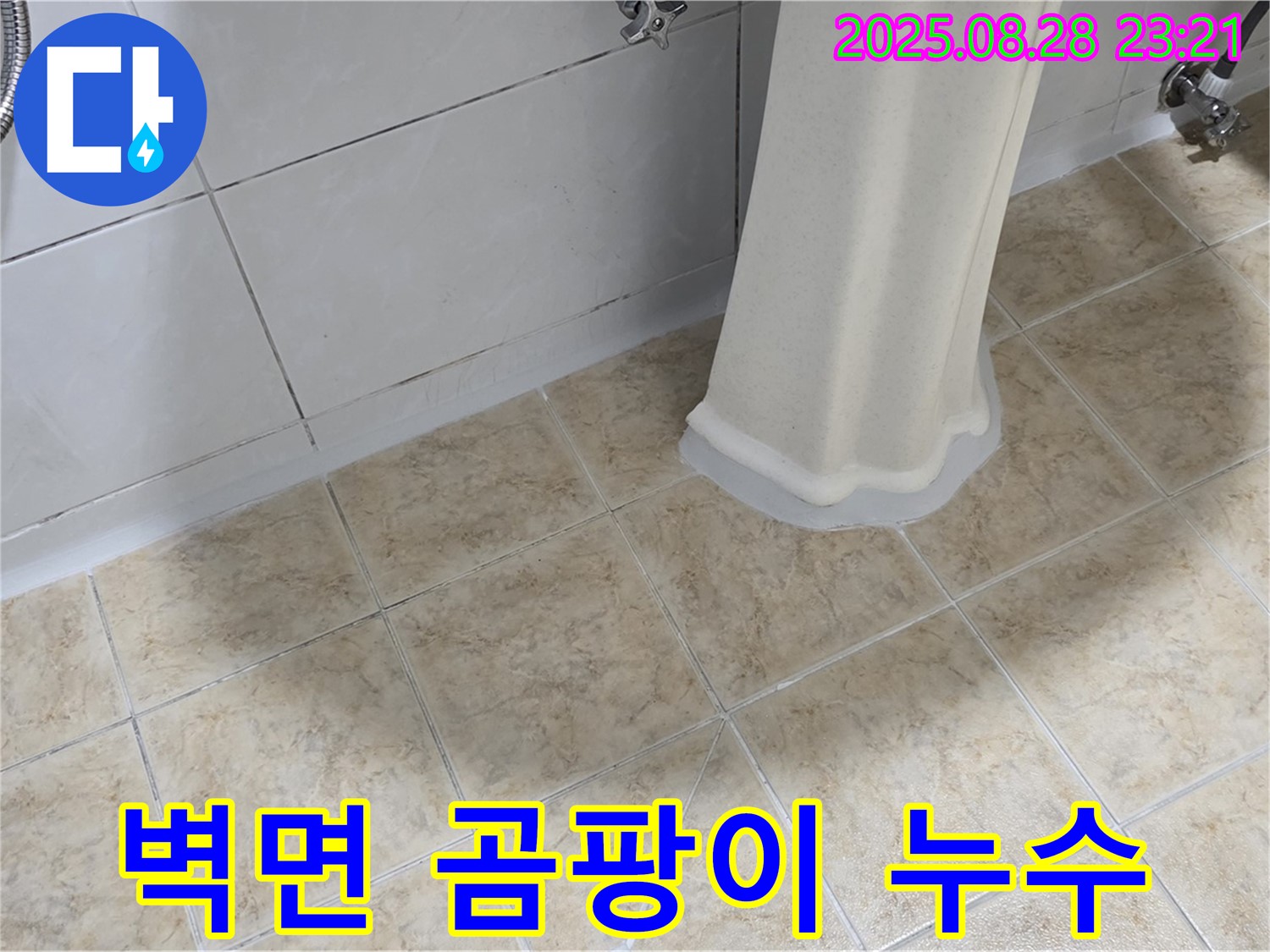 세면대 주변 벽면 곰팡이 - 누수 가능성 점검 및 곰팡이 제거