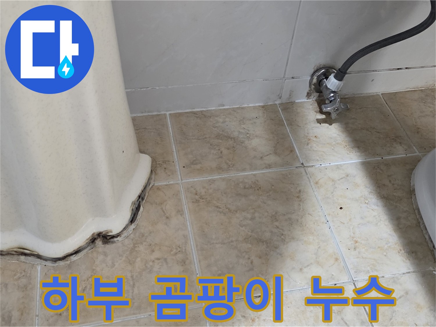세면대 하부 곰팡이 - 건강한 생활 필수 - 곰팡이 제거 전문가