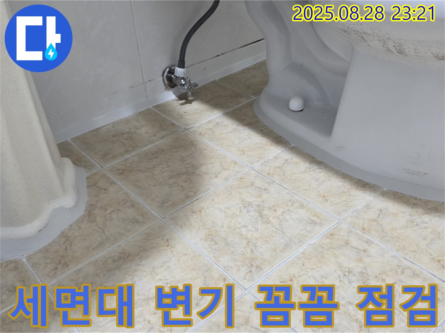 세면대와 변기 주변 꼼꼼 점검 - 세면대와 변기 주변 바닥과 연결 부위를 꼼꼼하게 확인하는 모습 - 누수 징후를 놓치지 않습니다.