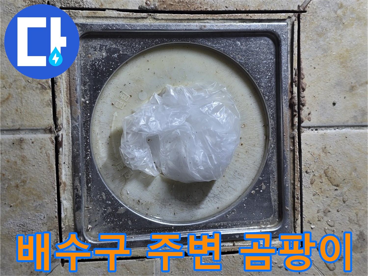 욕실 배수구 주변 곰팡이 - 곰팡이 발생 원인 진단 및 누수 가능성 확인