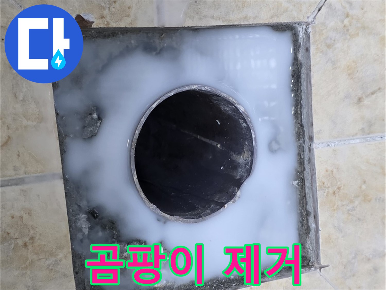 욕실 배수구 주변 곰팡이 완벽 제거 - 묵동 누수, 깨끗하고 건강하게!