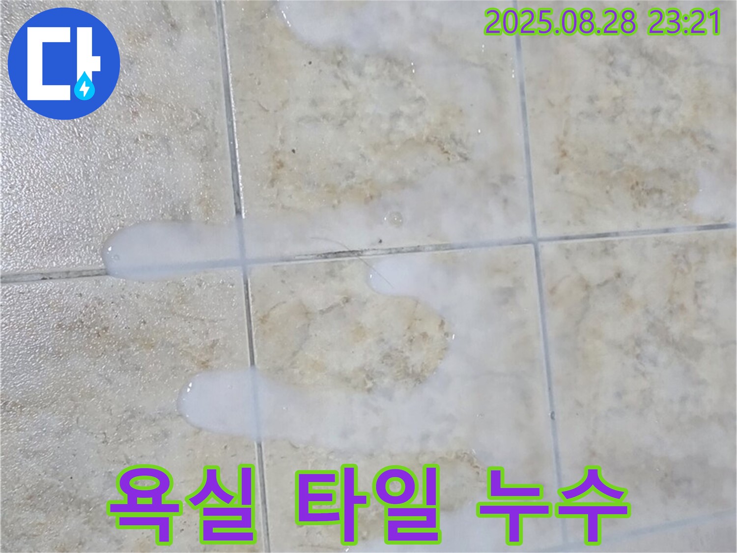 욕실 타일 누수 - 중랑구 묵동에서 발생한 욕실 타일 누수 문제를 해결하는 과정을 상세히 보여줍니다.