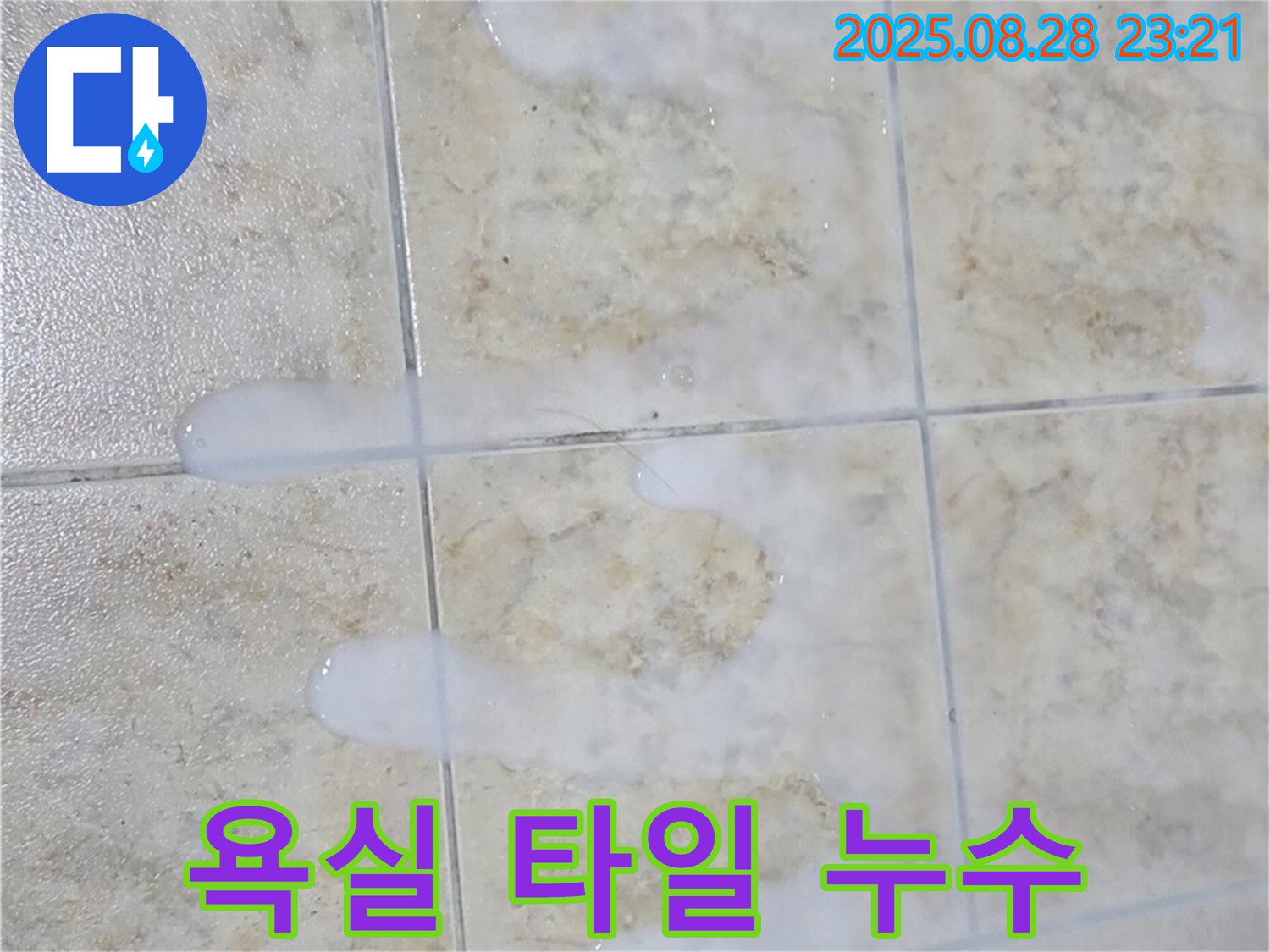 욕실 타일 누수 - 중랑구 묵동에서 발생한 욕실 타일 누수 문제를 해결하는 과정을 상세히 보여줍니다.
