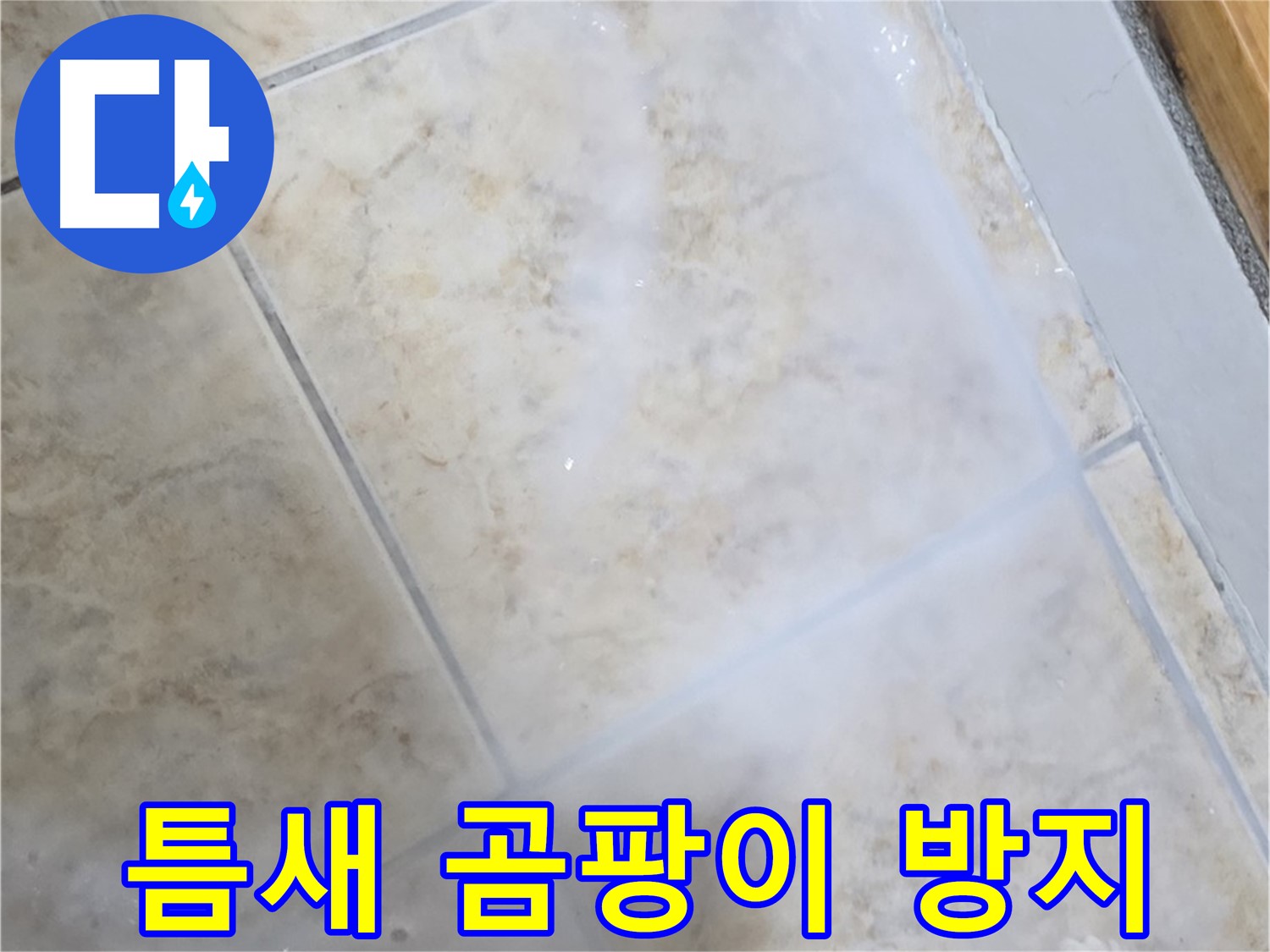 타일 틈새 누수 방지 - 곰팡이 걱정 없이 - 깔끔하게 마무리