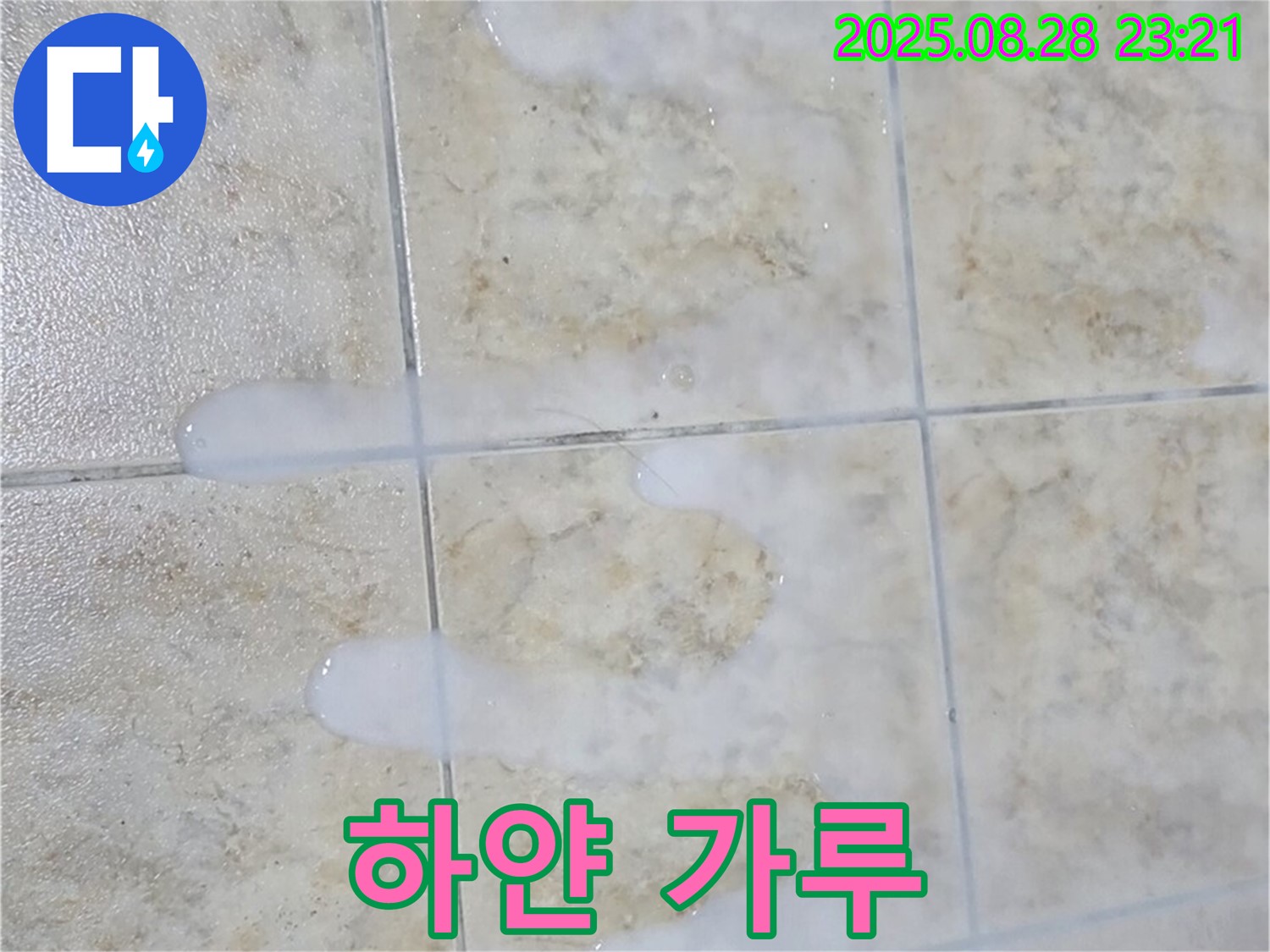 하얀 가루 나오는 백시멘트 - 묵동 주택 욕실에서 물이 닿으면 끈적거리고 색깔도 변하고 곰팡이도 피고 냄새까지 나고 하얀 가루까지 나오는 백시멘트 - 복합적인 문제 발생입니다.