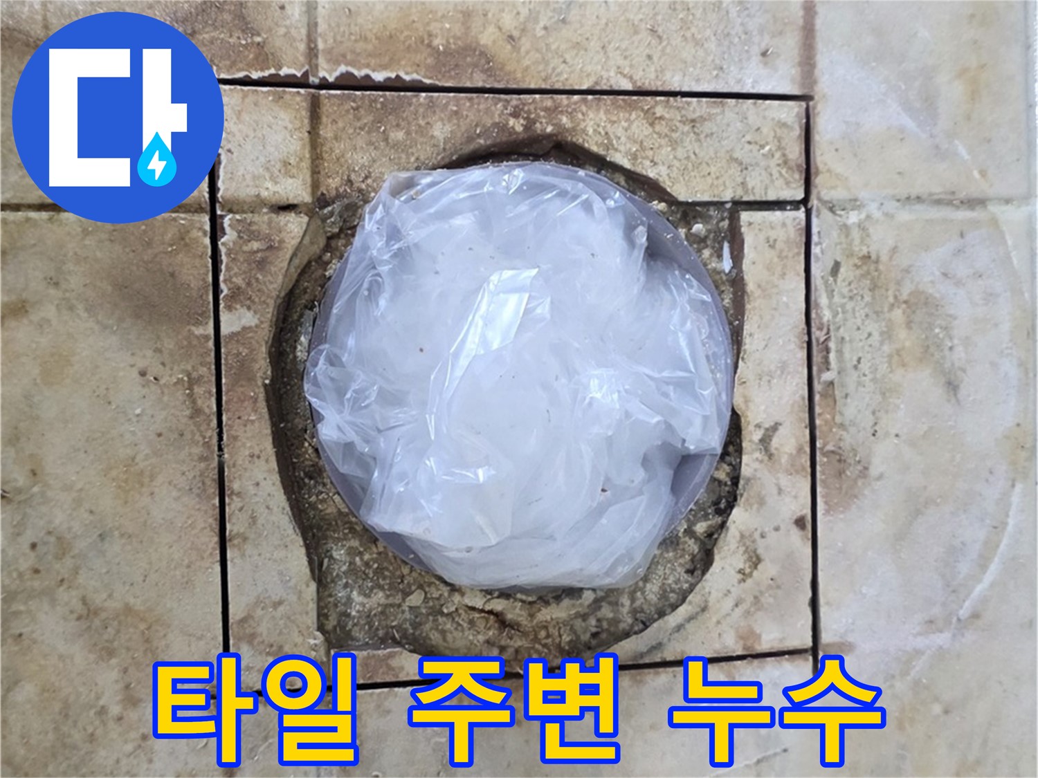 화장실 타일 주변 누수 - 습기로 인한 곰팡이 발생 가능성