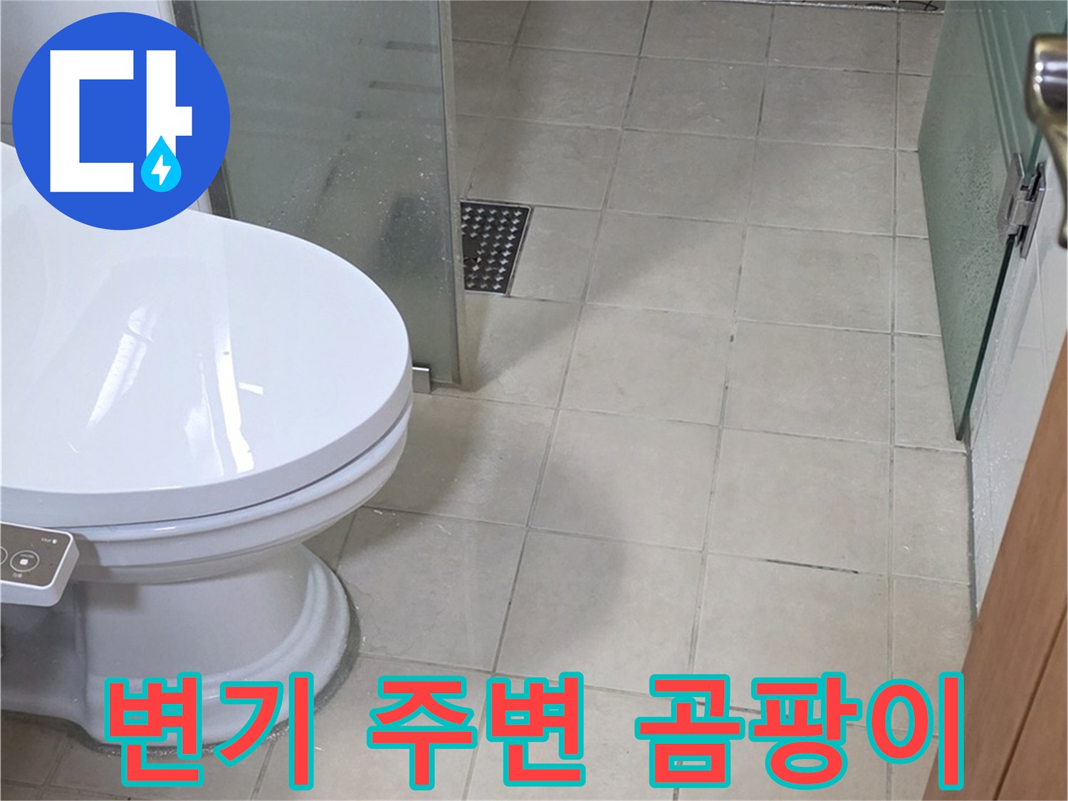 백석읍 서광아파트 - 변기 주변 곰팡이, 누수와 관련 있을까?