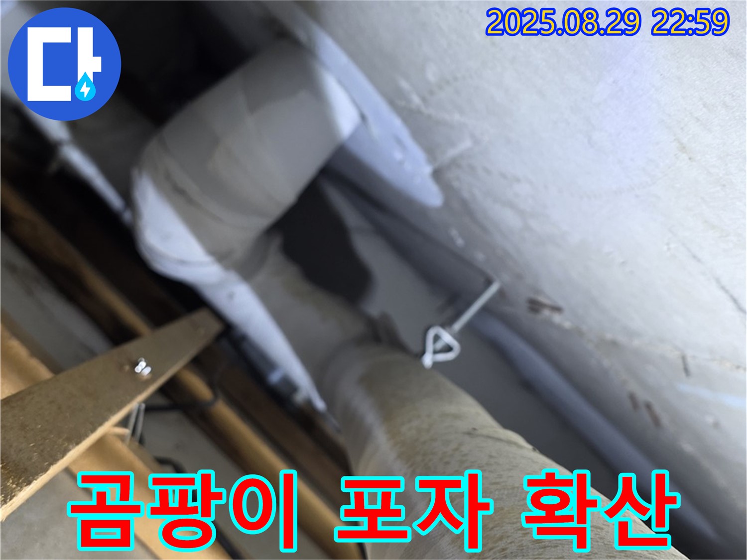 양주 백석 서광아침의빛 천장 배관 - 곰팡이 포자가 가득한 보온재는 곰팡이 확산이 우려됩니다.
