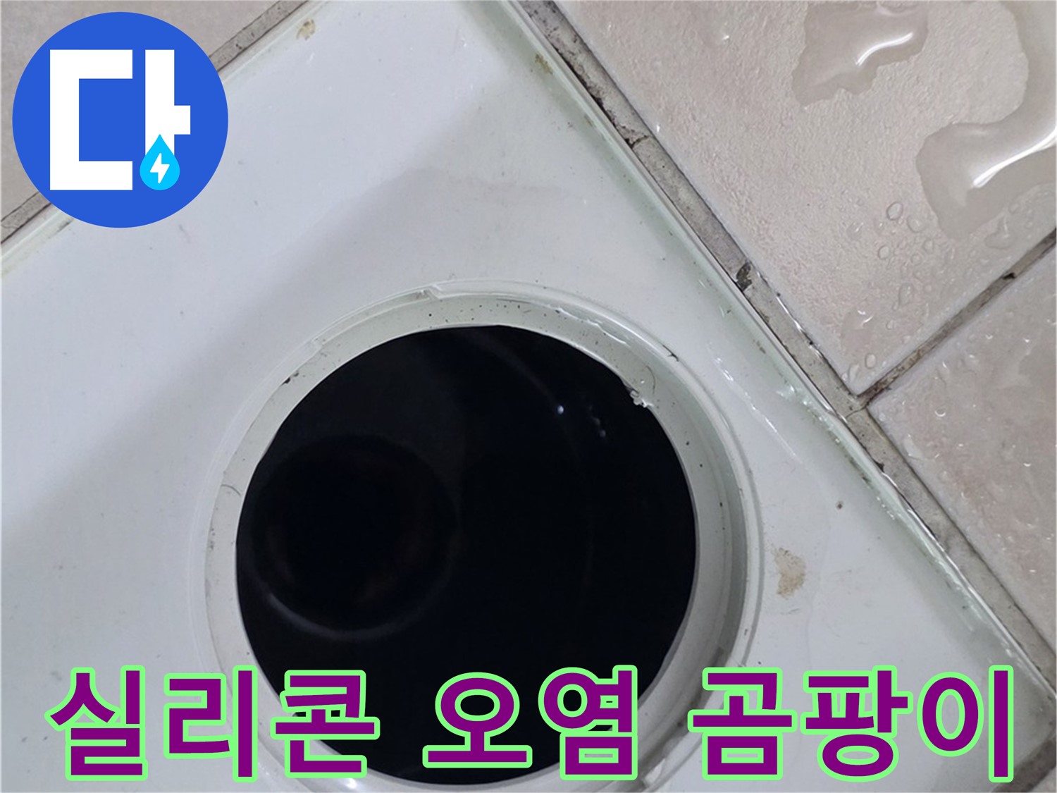 양주 백석 서광아침의빛아파트 욕실 배수구 주변 실리콘 오염 - 곰팡이 심각