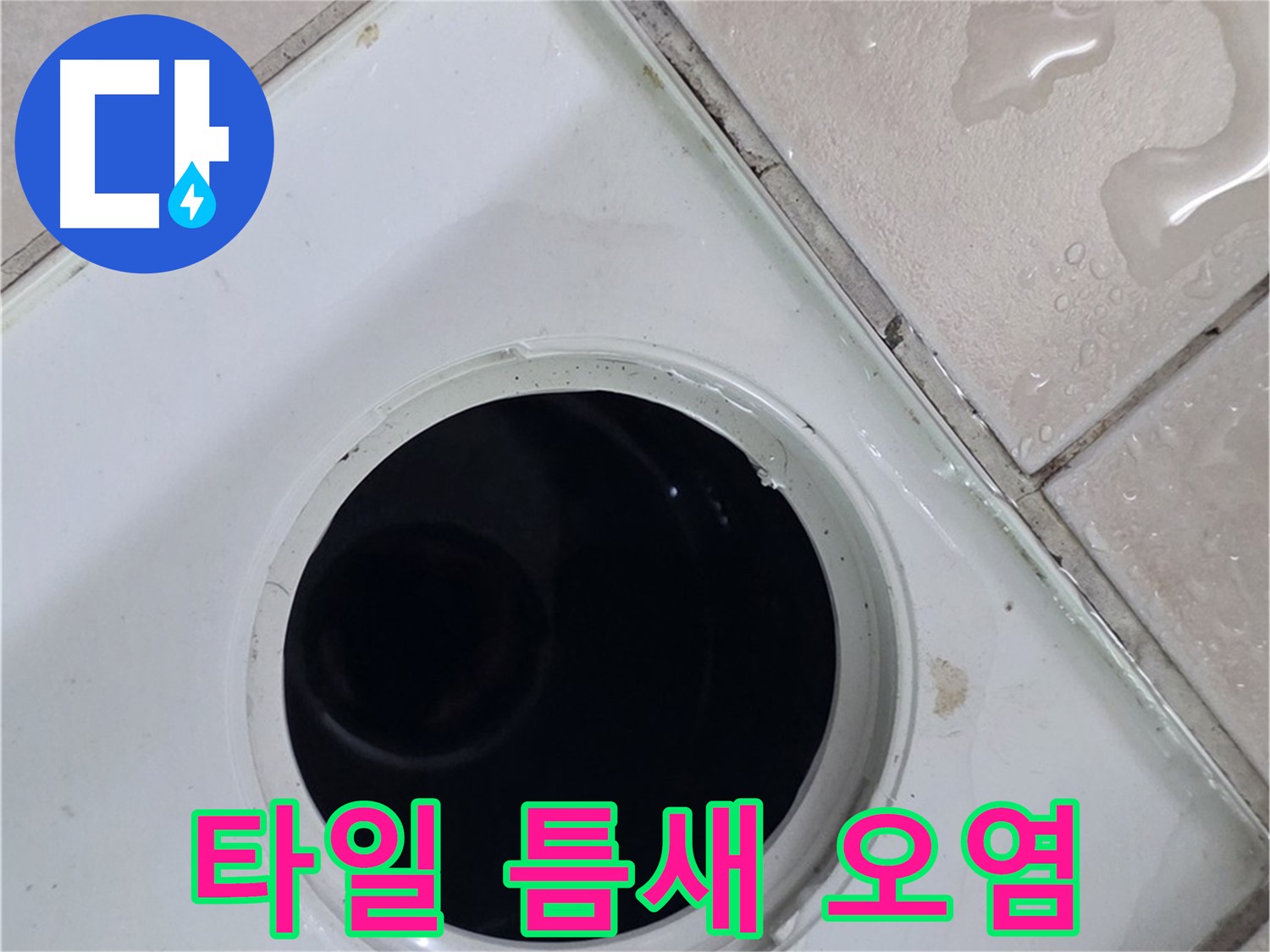 양주 백석 서광아침의빛아파트 욕실 배수구 주변 타일 틈새 오염 - 누수 유발 원인을 확인합니다.