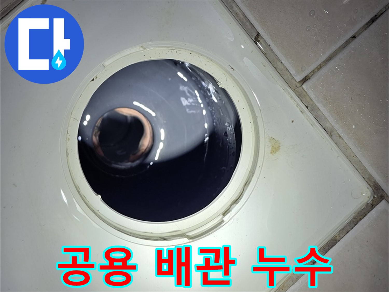 양주 백석 서광아파트 공용 배관 누수 - 신속한 조치로 피해 최소화