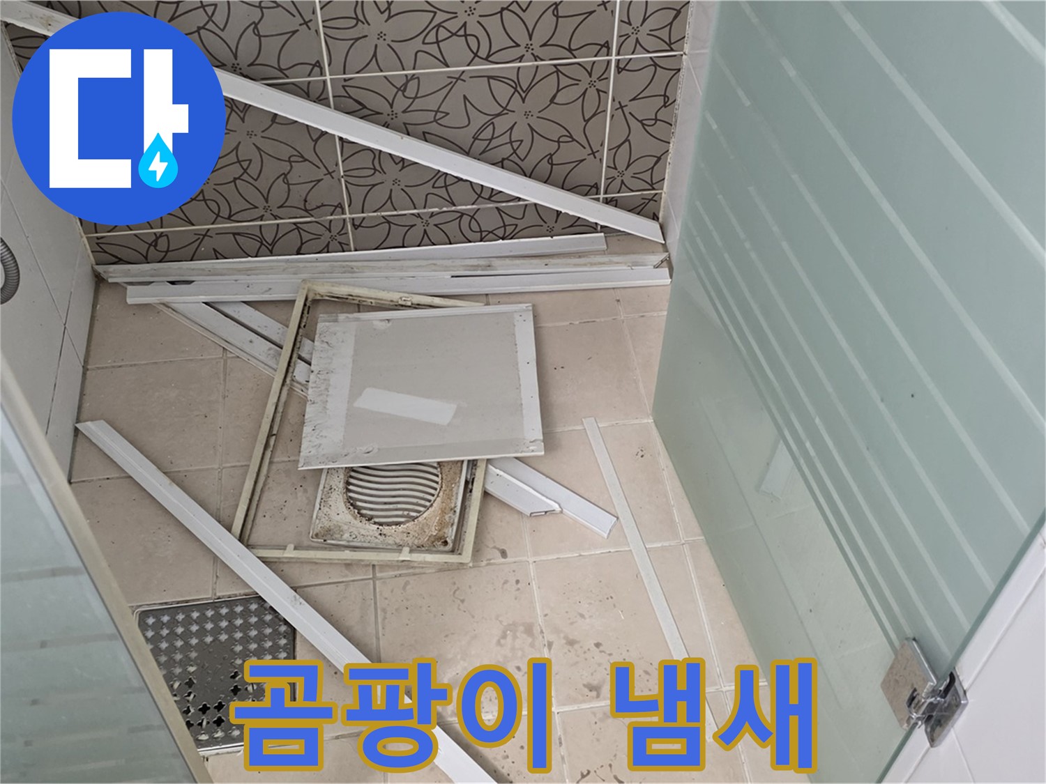 양주 백석 서광아파트 누수 - 점검구 주변, 곰팡이 냄새가 심하네요