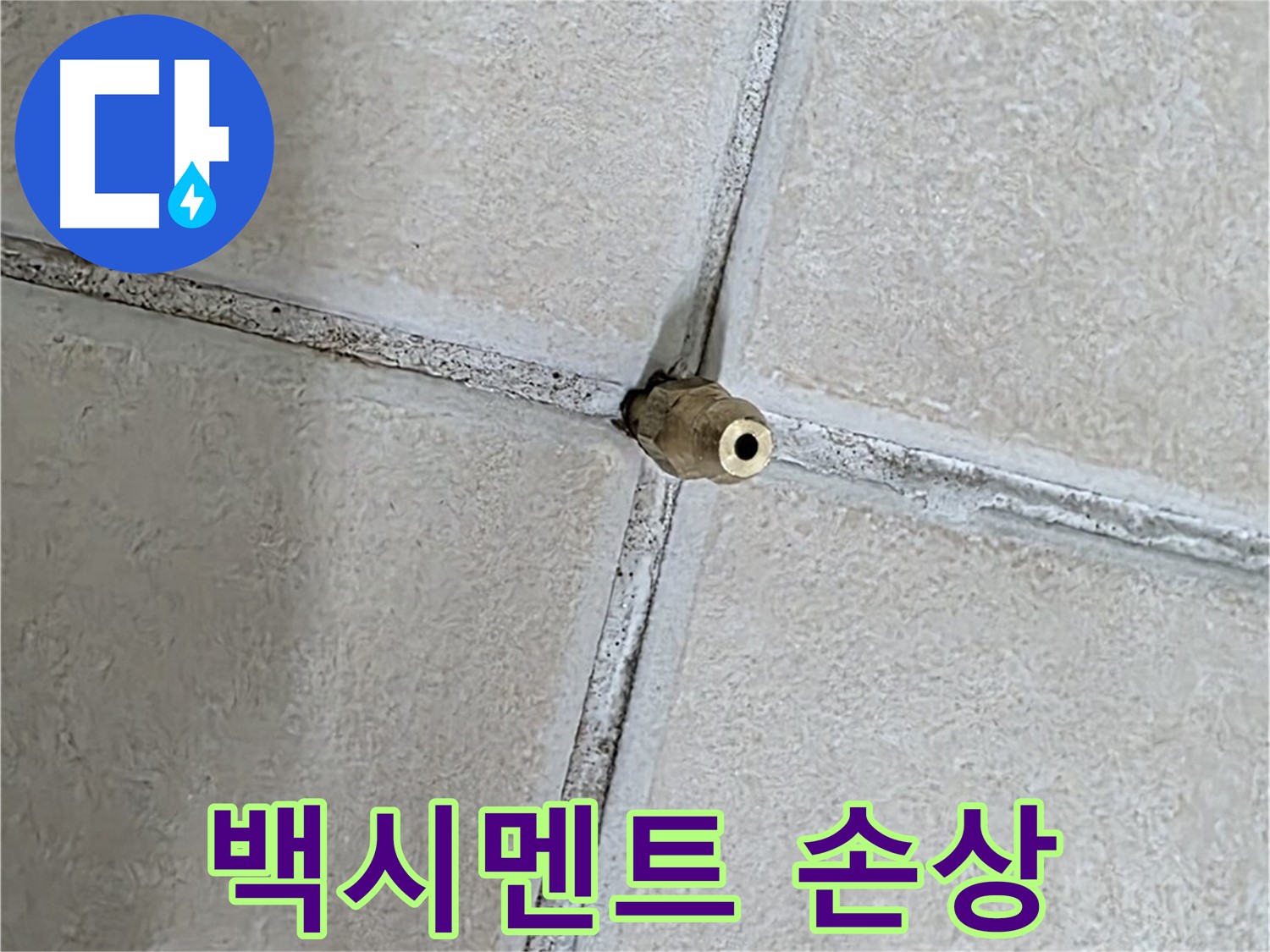 양주 백석 서광아파트 누수 - 타일 틈새의 백시멘트 손상은 누수의 원인이 될 수 있습니다.