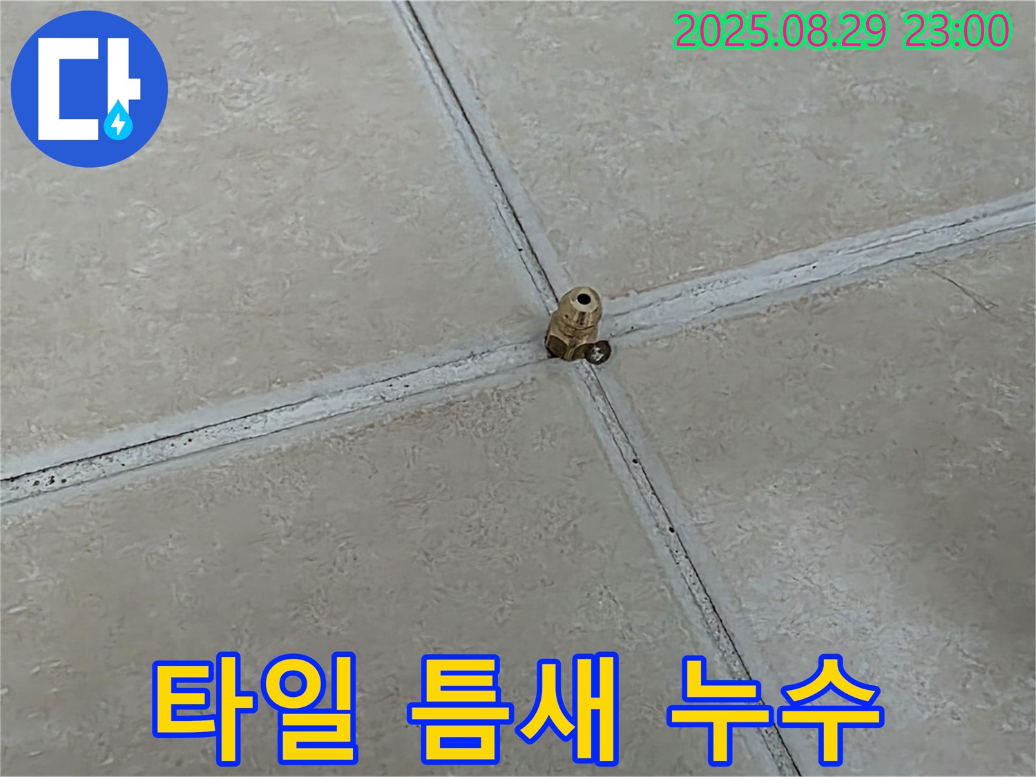 양주 백석 서광아파트 누수 - 타일 틈새의 숨겨진 누수까지 완벽하게 잡아냅니다.