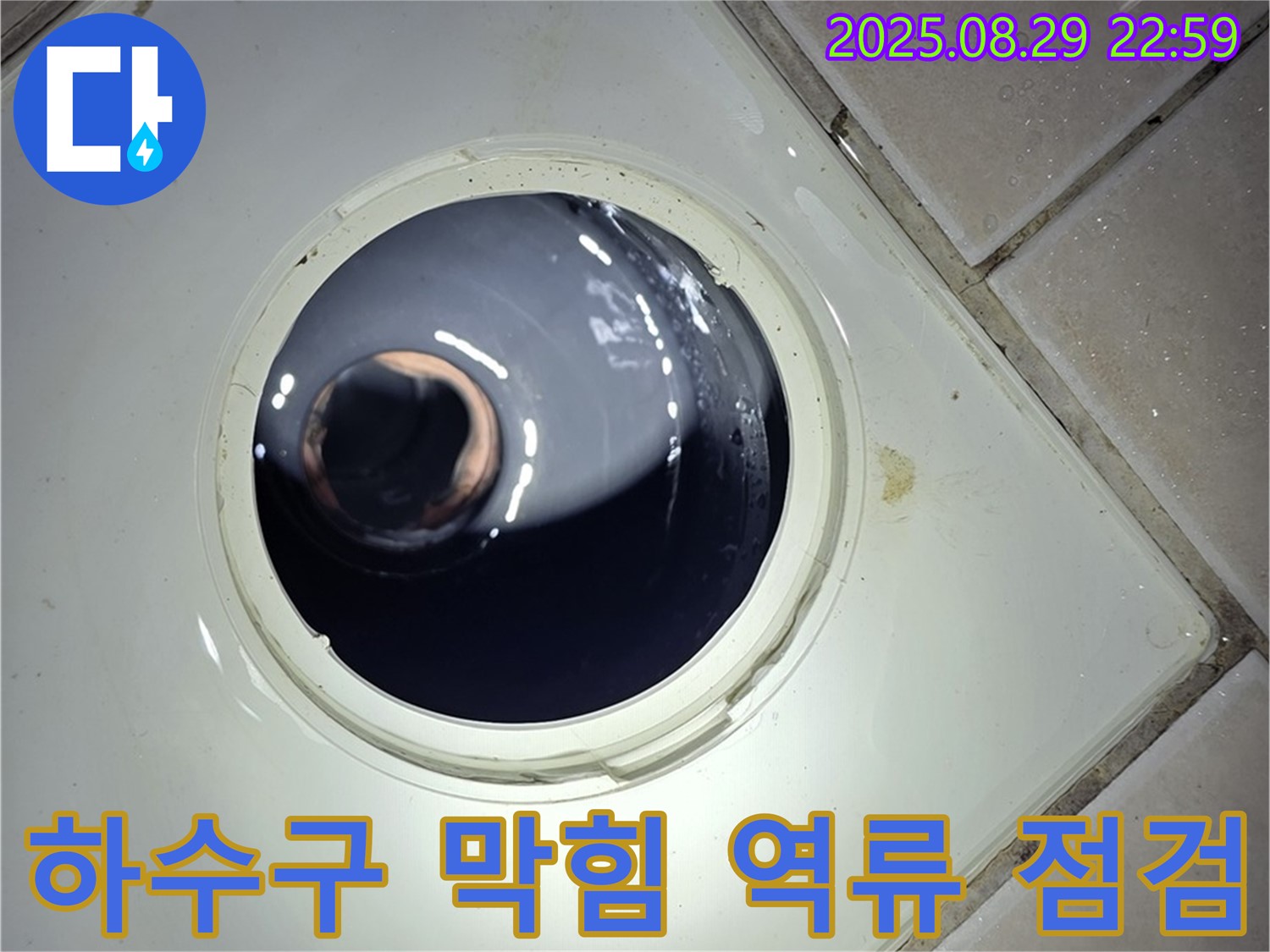 양주 백석 서광아파트 욕실 누수 - 하수구 막힘으로 인한 역류 가능성을 점검하고, 누수 원인을 파악합니다.