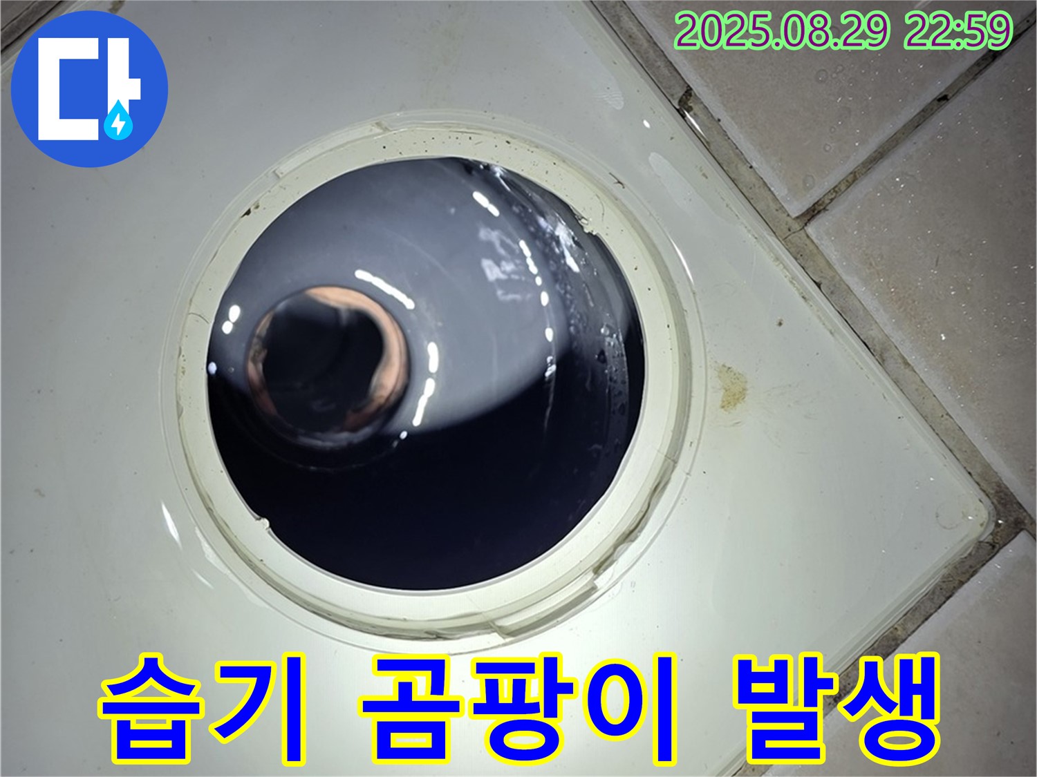 양주 백석 서광아파트 욕실 누수 - 하수구 주변의 습기와 곰팡이는 누수의 간접적인 증거가 될 수 있습니다.