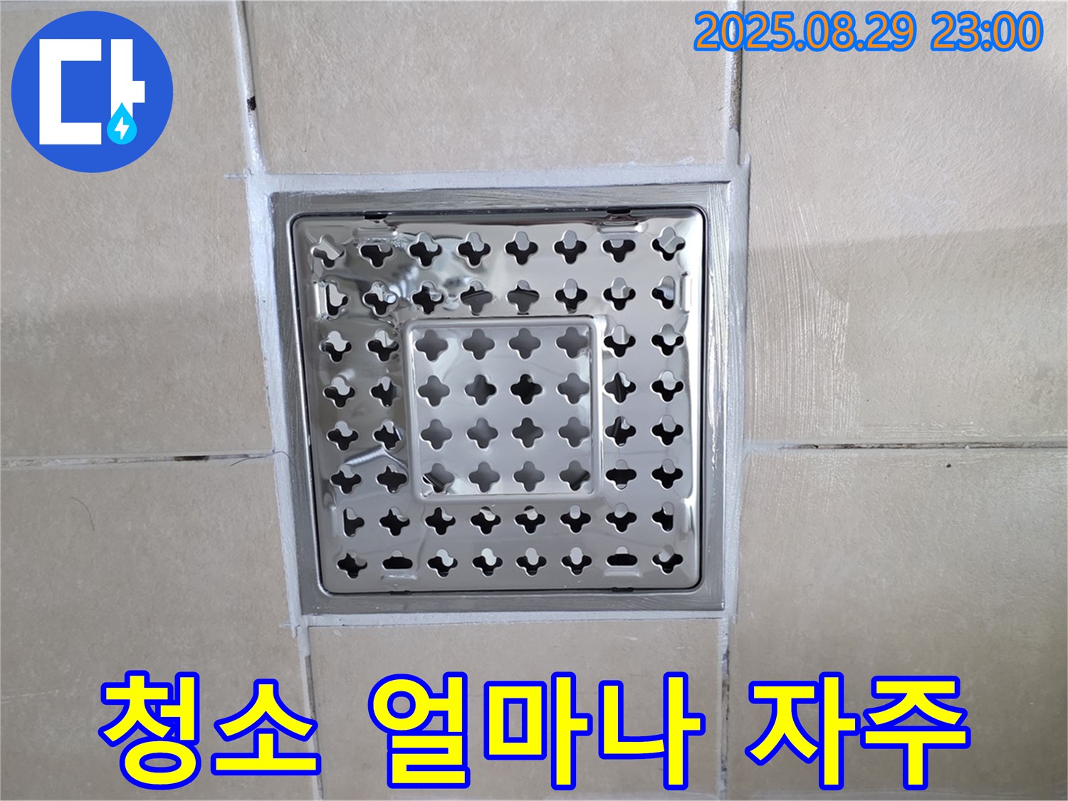 양주 백석 서광아파트 욕실 - 배수구 청소, 얼마나 자주 해야 깨끗하게 유지할 수 있을까요?