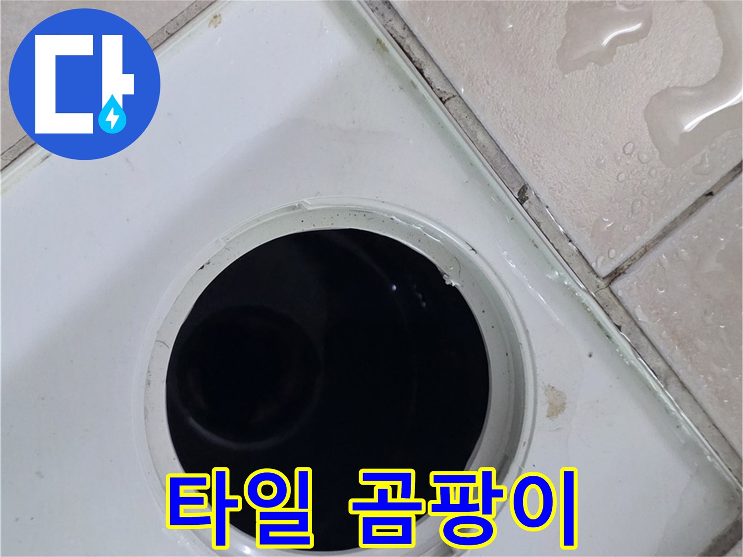 양주시 백석읍 서광아파트 욕실 배수구 주변 타일 틈새 곰팡이 - 누수와 관련된 곰팡이 발생 상태를 확인합니다.