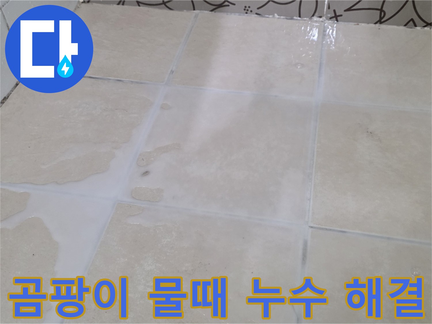 욕실 타일 틈새 곰팡이 물때 누수 해결 - 깨끗하고 쾌적한 욕실 환경 조성