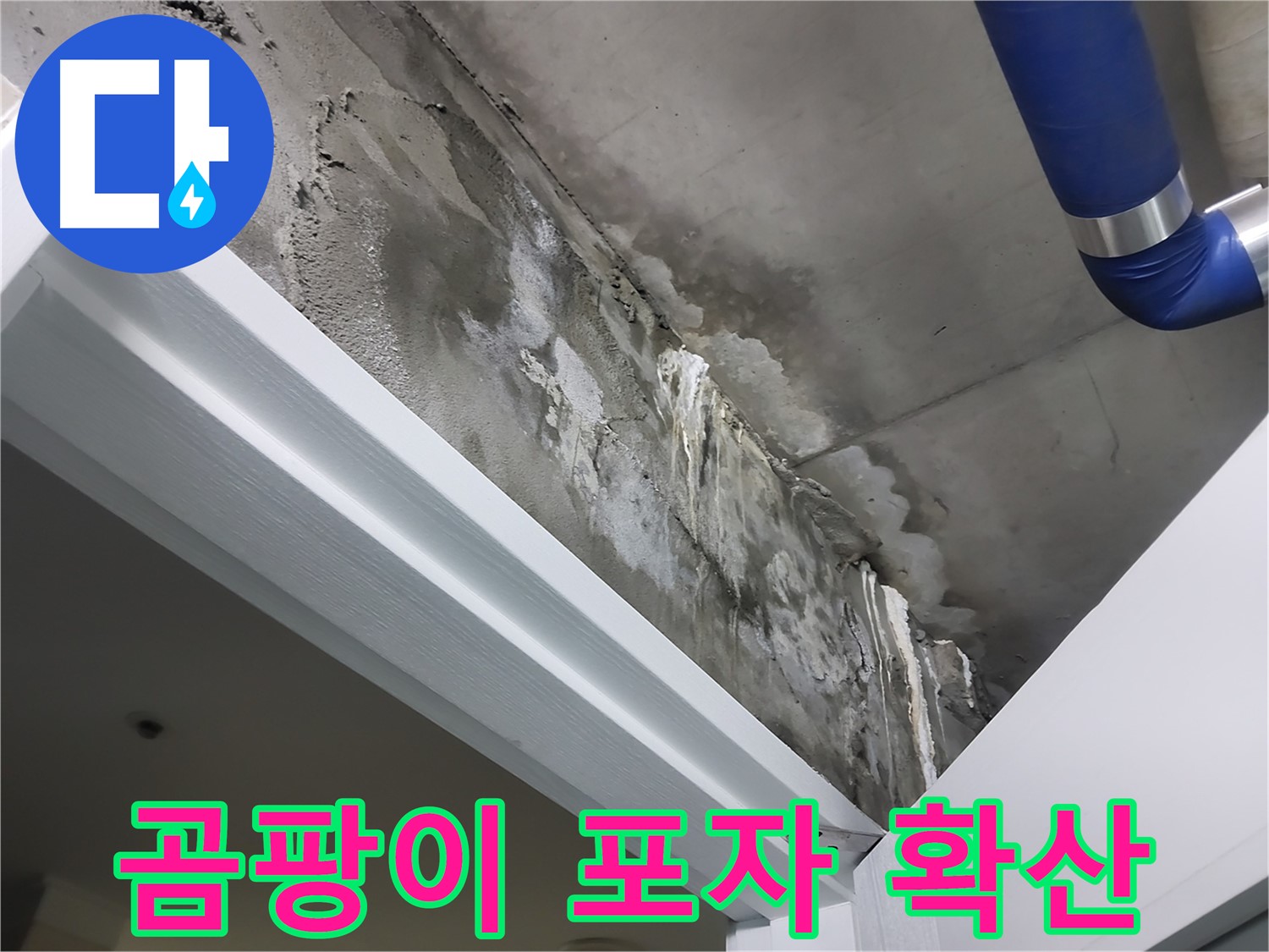 문 위 천장 - 곰팡이 포자 확산 - 누수로 인해 곰팡이가 발생하고 포자가 확산될 우려가 있는 모습입니다.