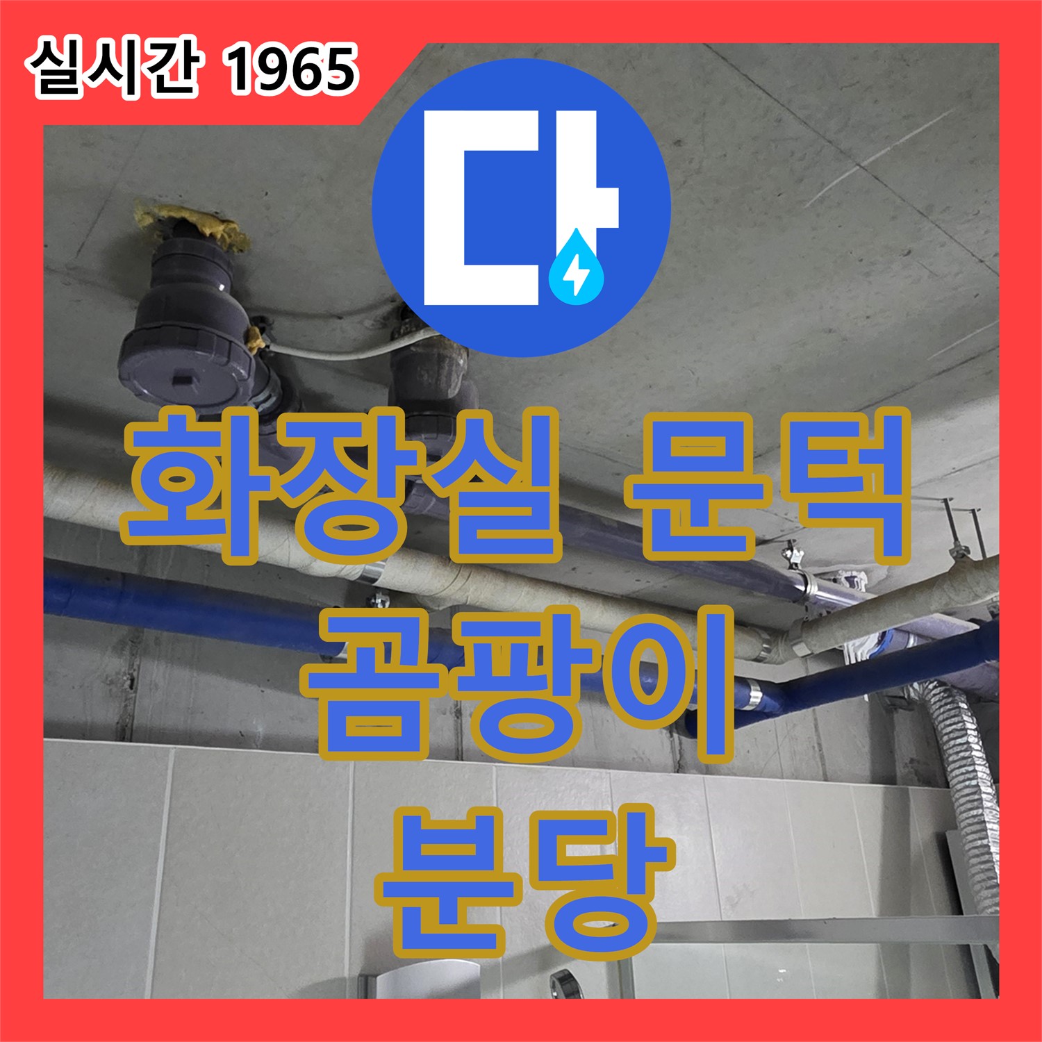 분당 누수탐지, 화장실 문턱 곰팡이! 누수 의심, 꼼꼼하게 점검해 드립니다