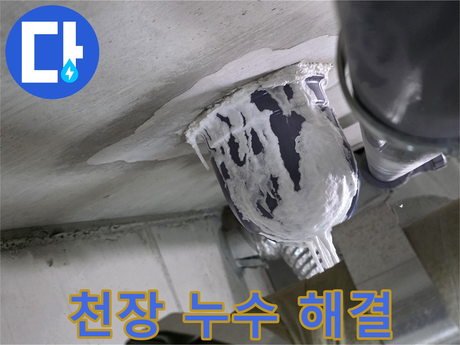 분당 운중동 누수 - 천장 누수, 저희가 확실하게 해결해 드립니다