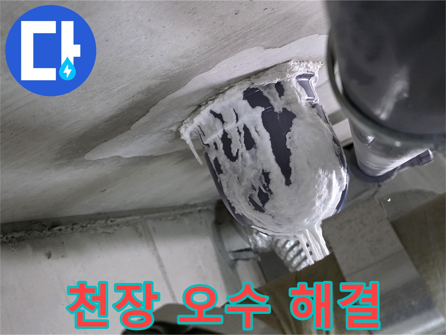 분당 운중동 누수 - 천장 오수 배관 누수, 완벽하게 해결해 드립니다