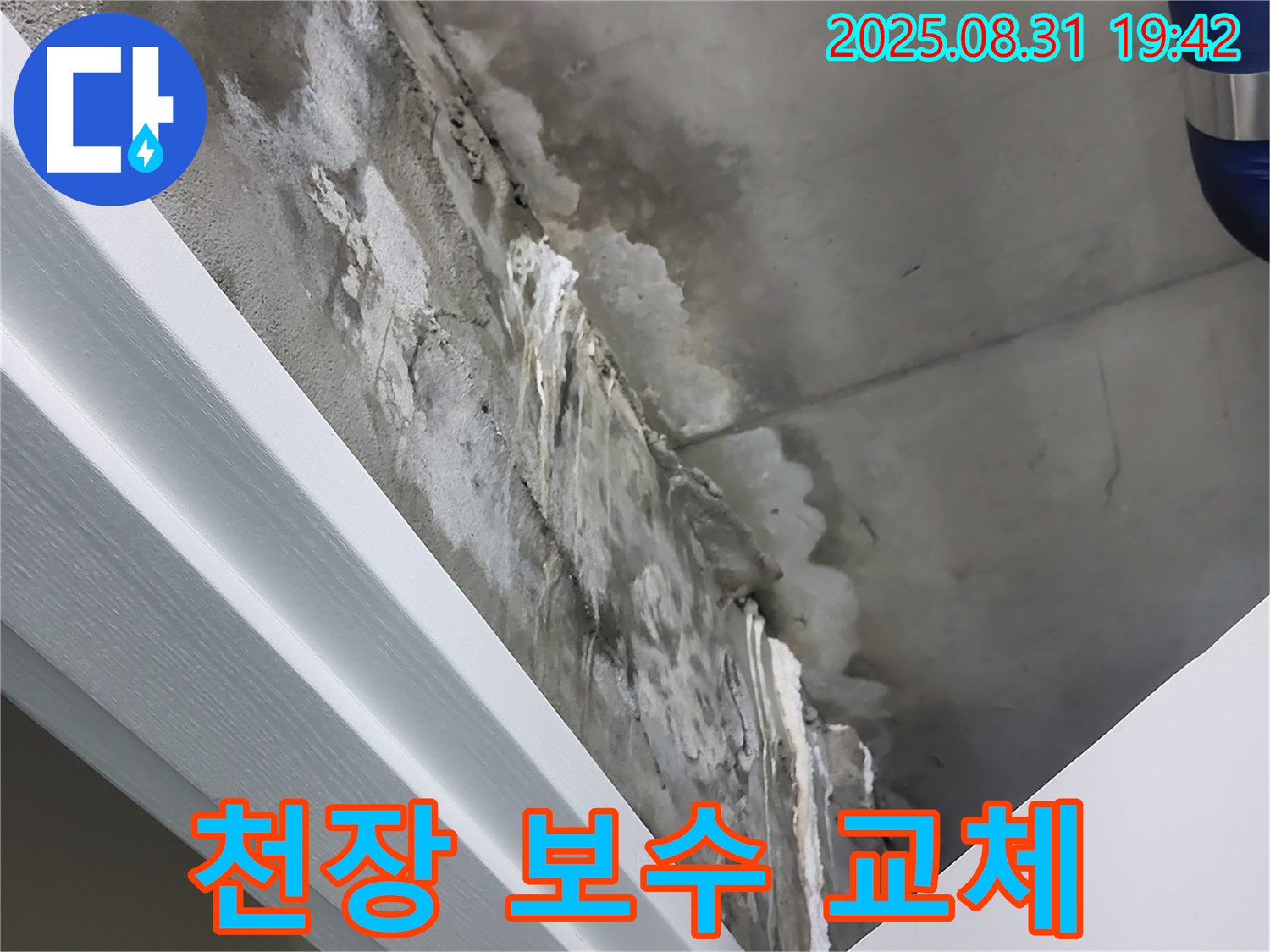 분당 운중동 산운로 천장 누수 - 부분 보수 vs 전체 교체 - 최적의 해결책!