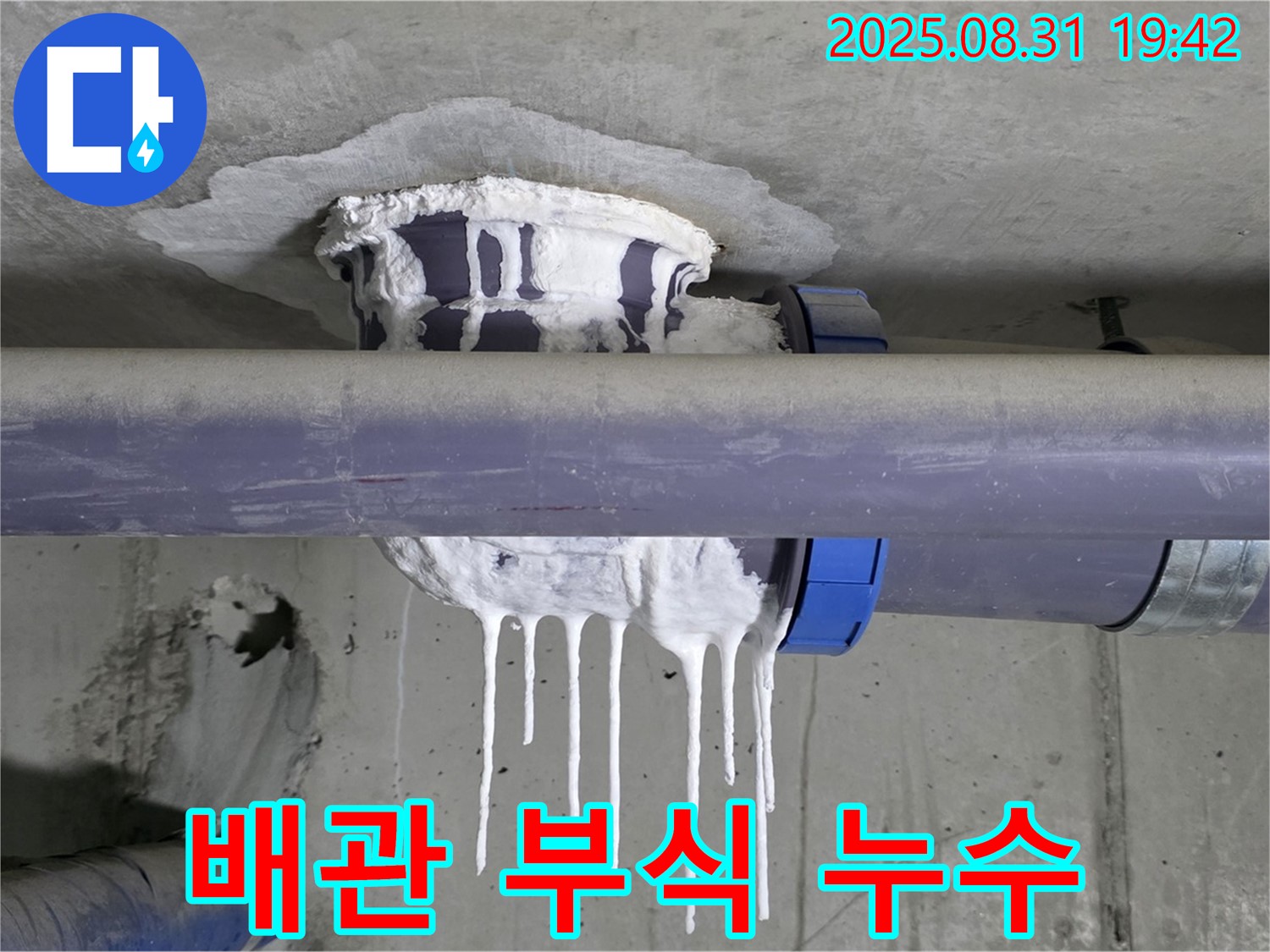 분당 운중동 산운마을 6단지 누수 - 배관 부식으로 인한 누수 - 완벽 해결, 합리적 견적, 평생 A/S, 24시간 상담