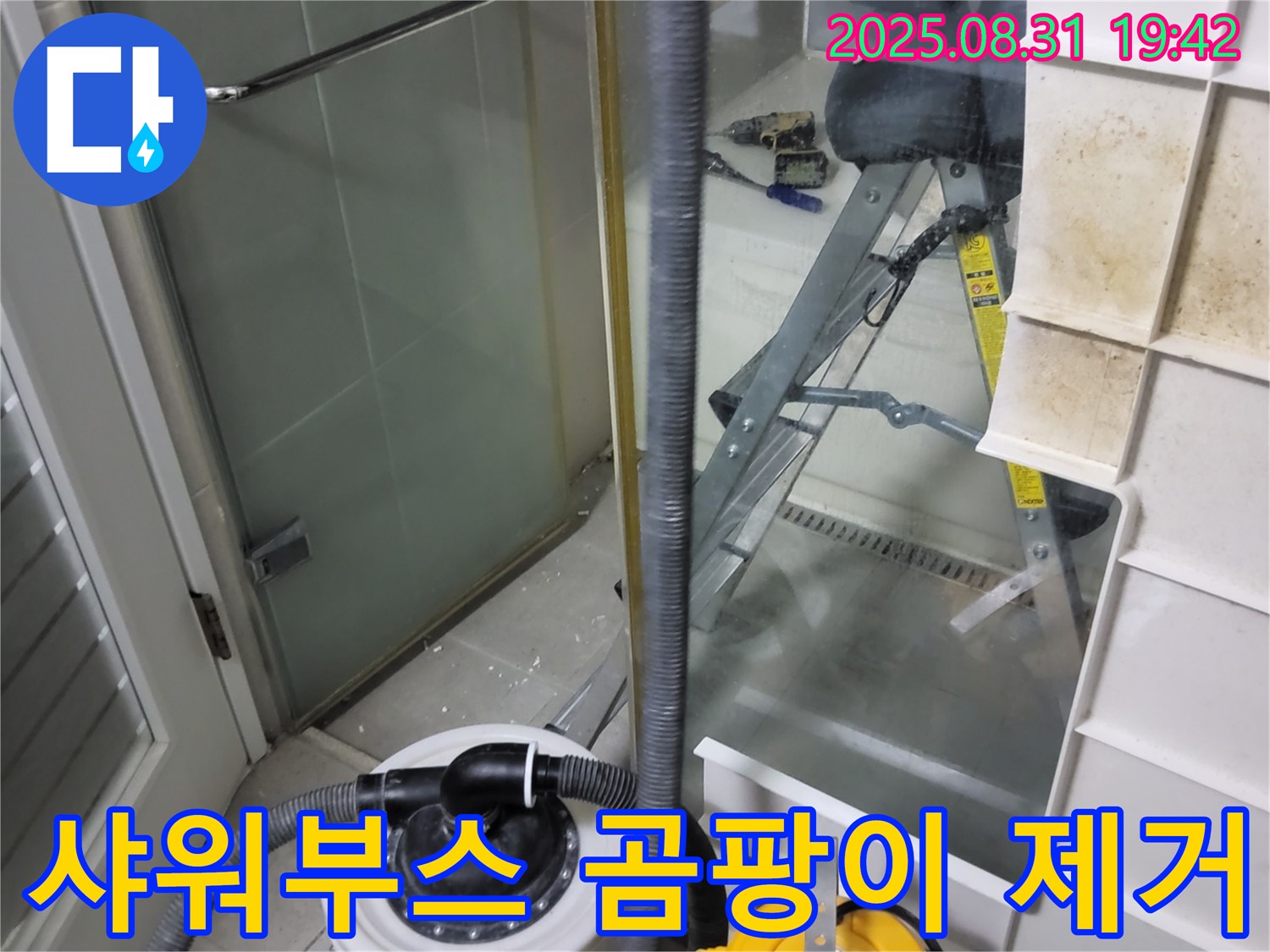 분당 운중동 산운마을 6단지 - 샤워부스 곰팡이 제거 및 습기 관리 중요