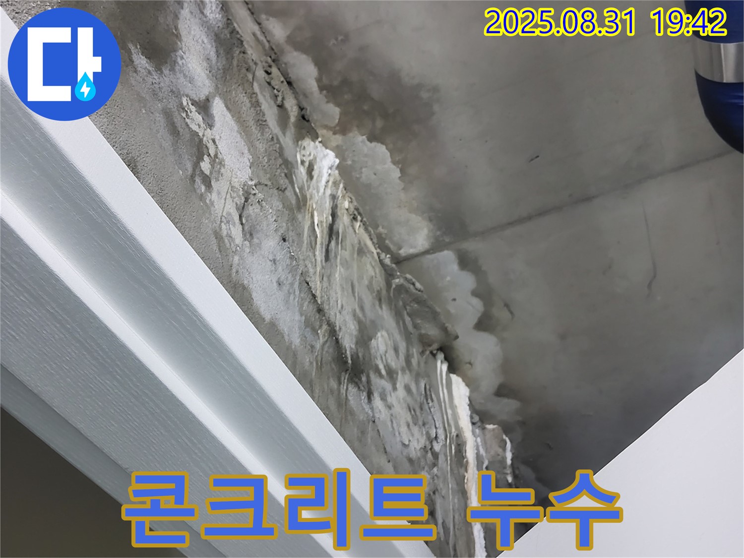 분당 운중동 산운마을 6단지 콘크리트 누수 - 분당 누수 전문가의 정밀 진단