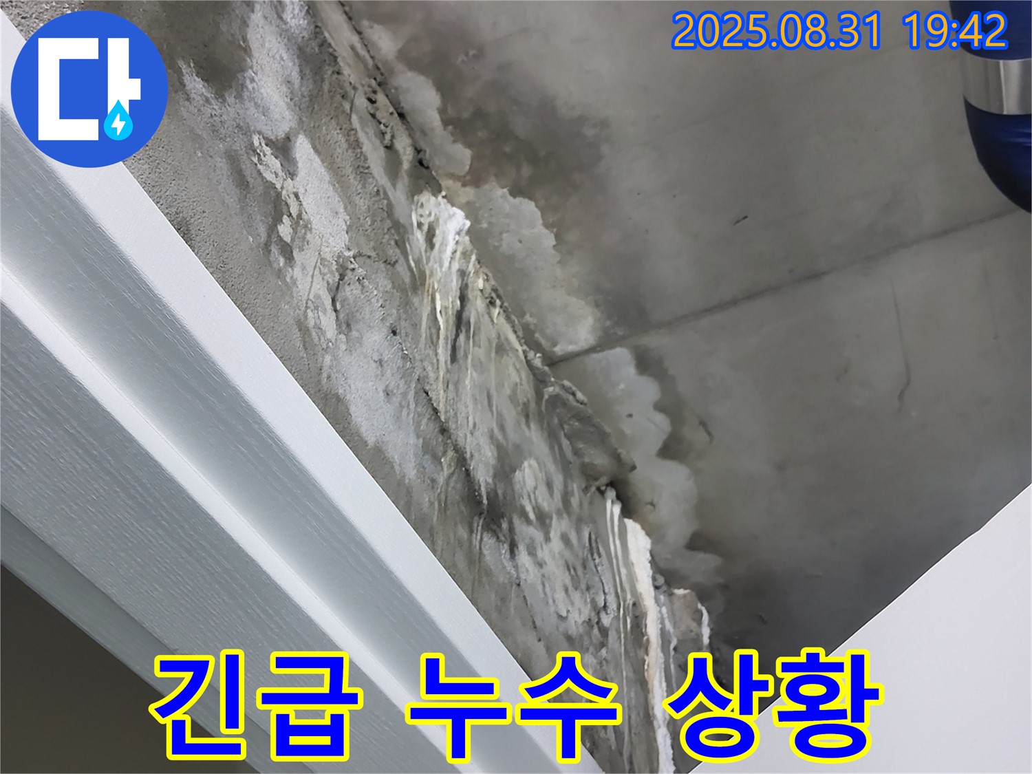 분당 운중동 산운마을 긴급 누수 상황 - 24시간 출동, 신속한 해결