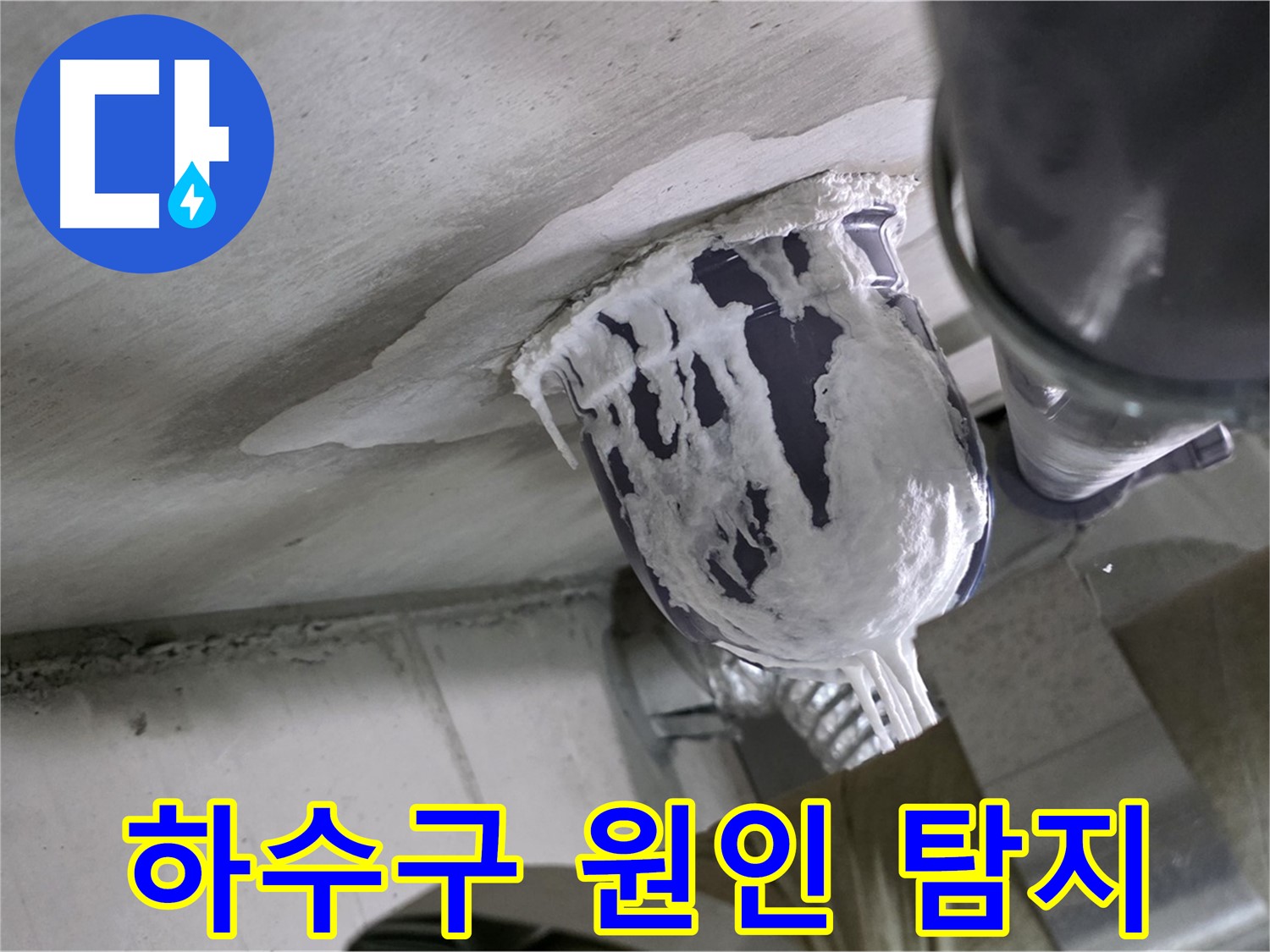 분당 운중동 산운마을 누수 - 정확한 하수구 누수 원인 탐색으로 문제 해결 완료
